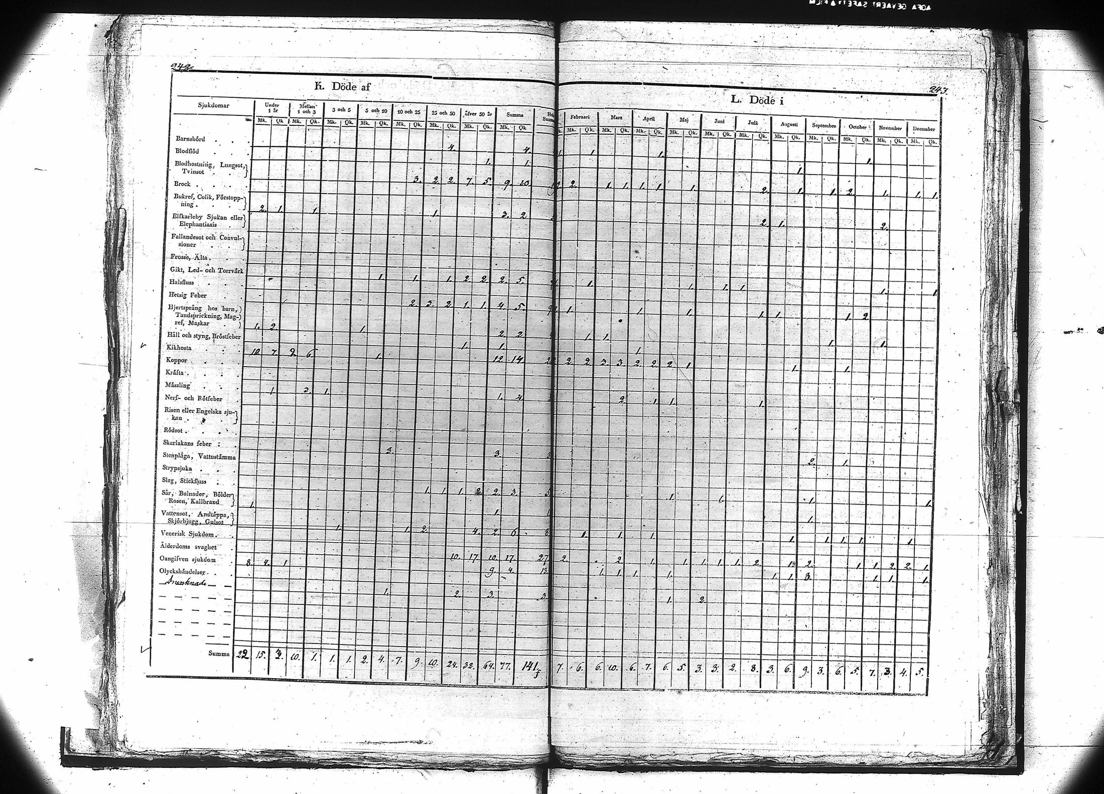 [ kuvat/124.jpg ]