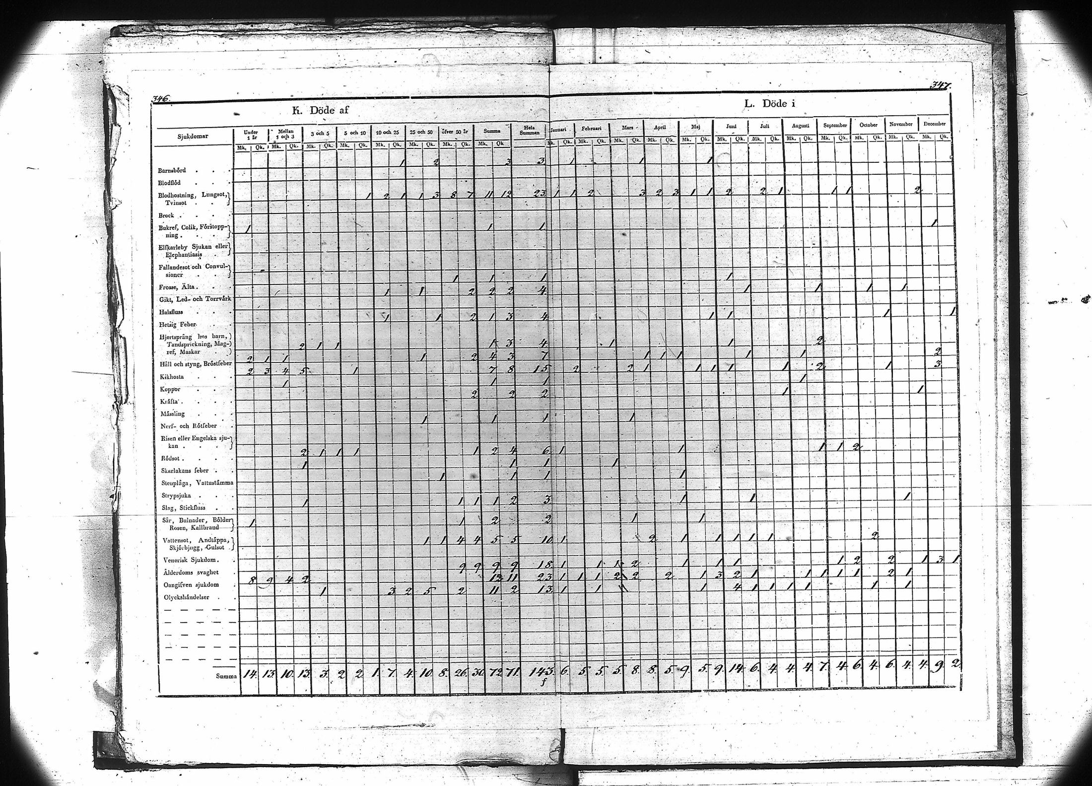 [ kuvat/176.jpg ]