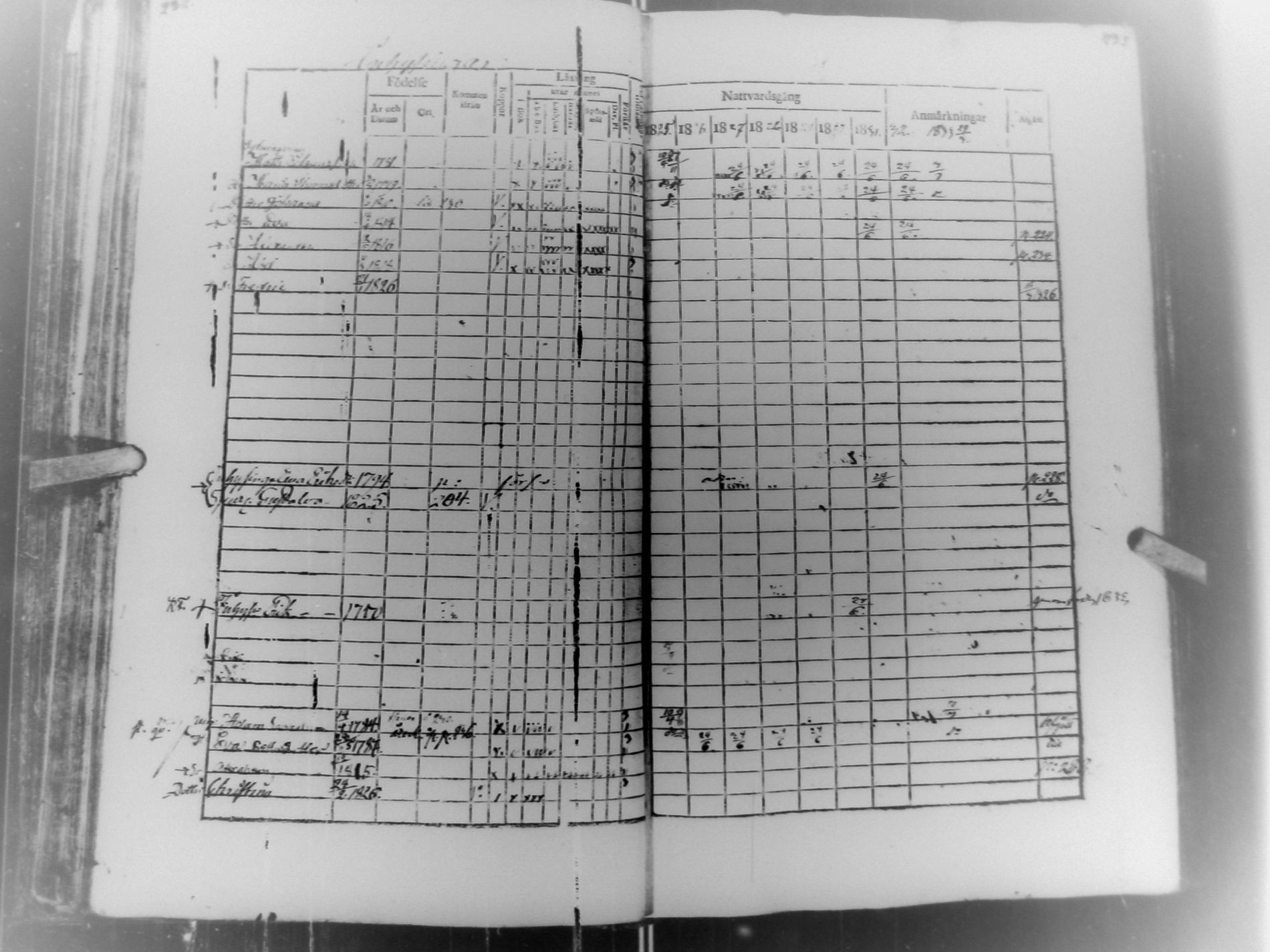 [ kuvat/119.jpg ]