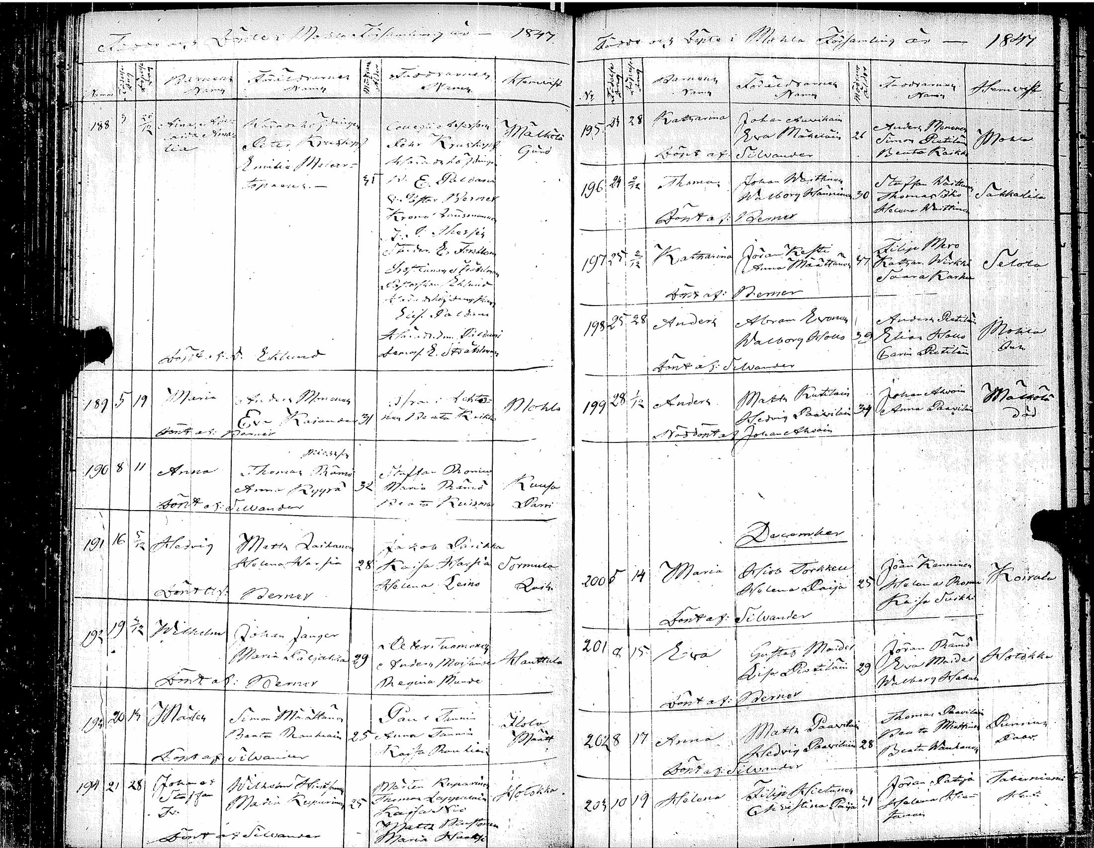 [ kuvat/206.jpg ]