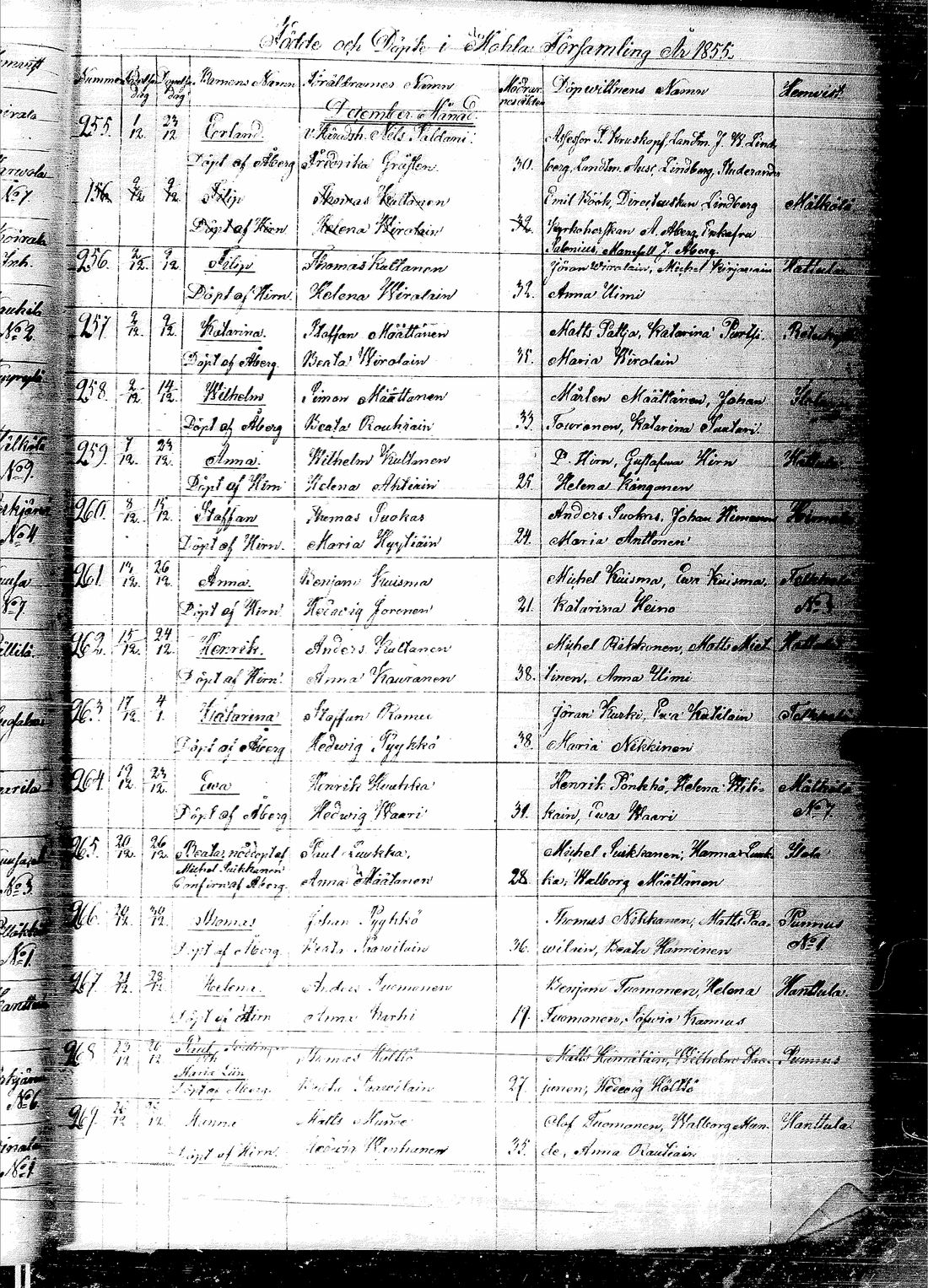 [ kuvat/104.jpg ]