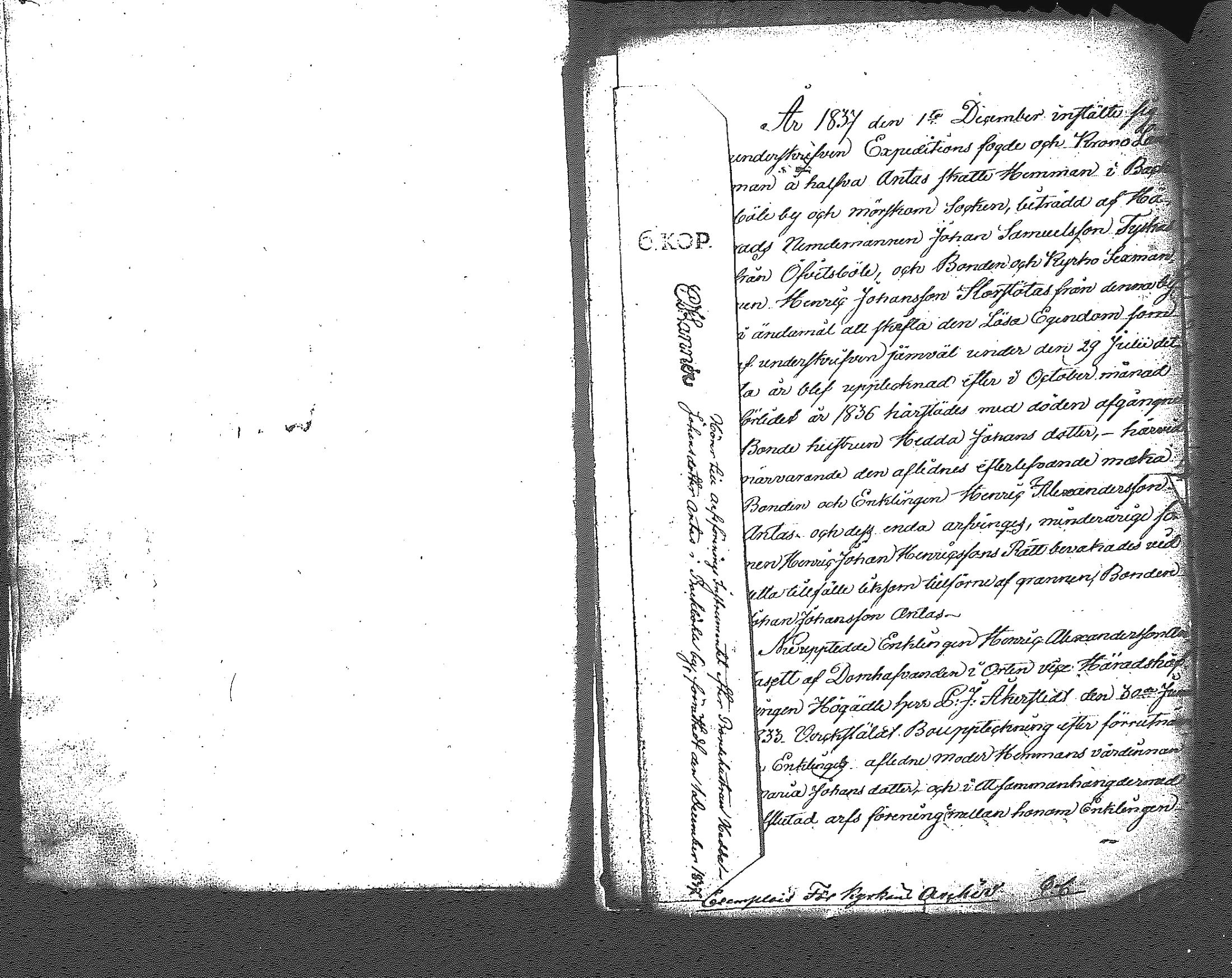 [ kuvat/342.jpg ]