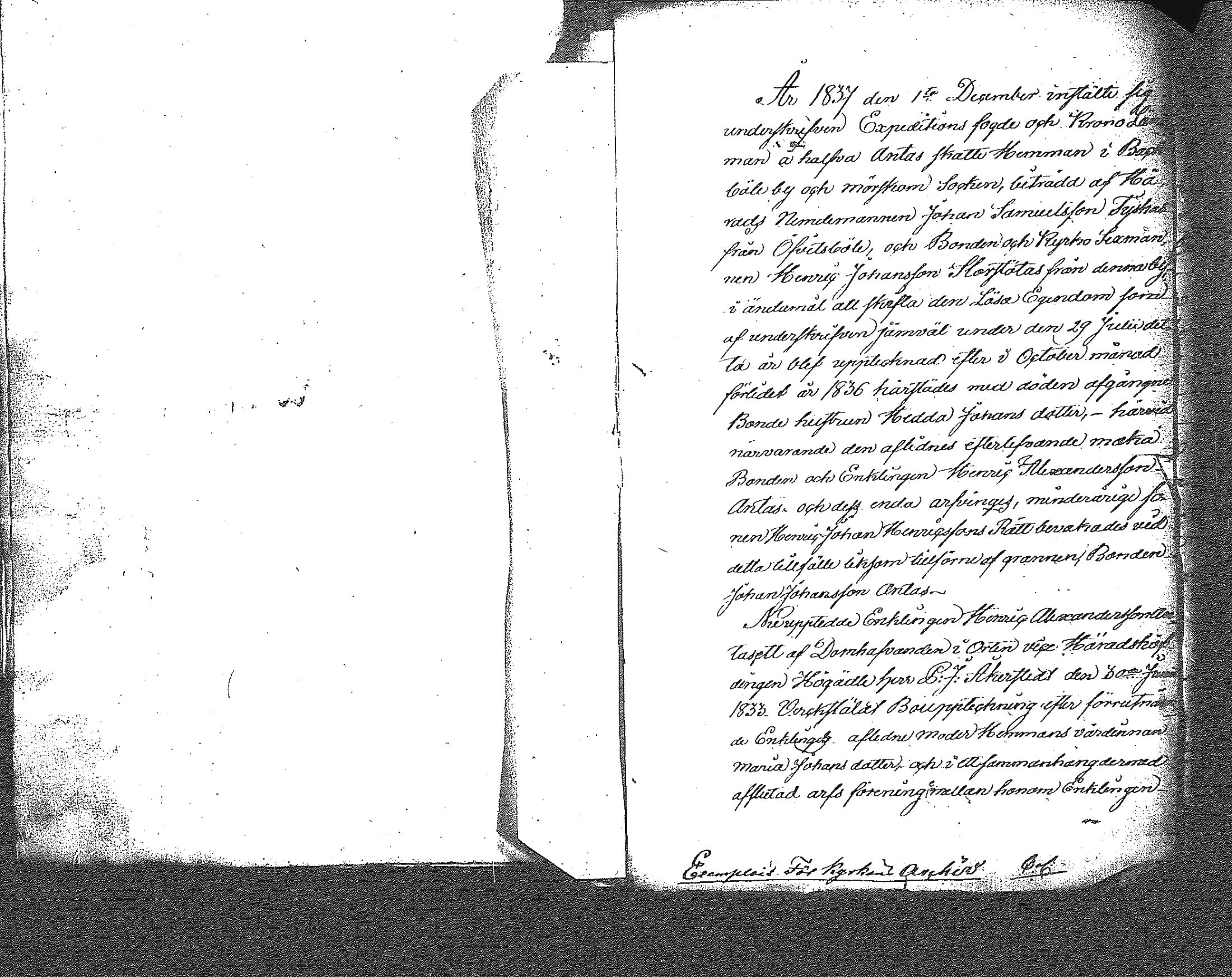 [ kuvat/343.jpg ]