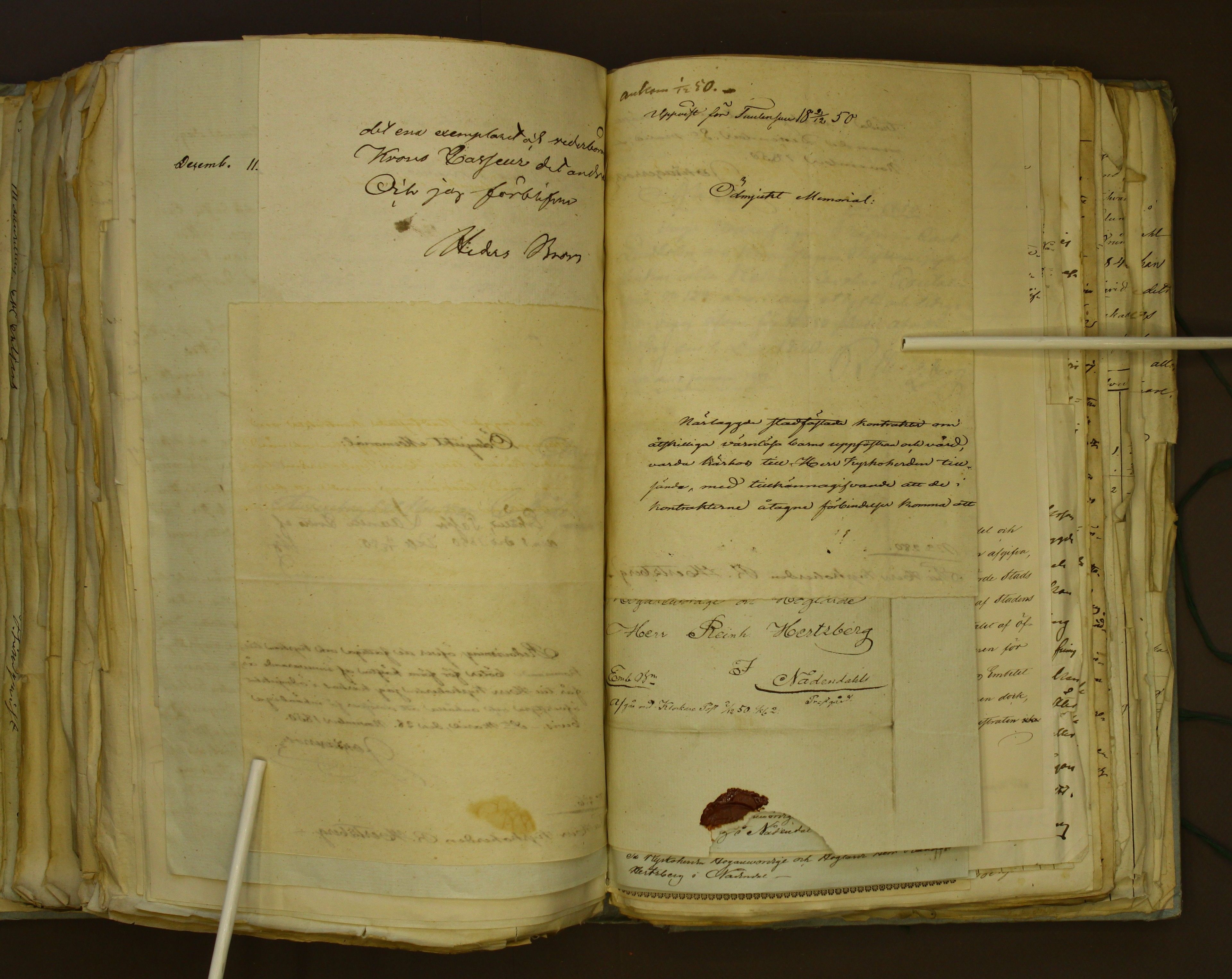 [ kuvat/462.jpg ]