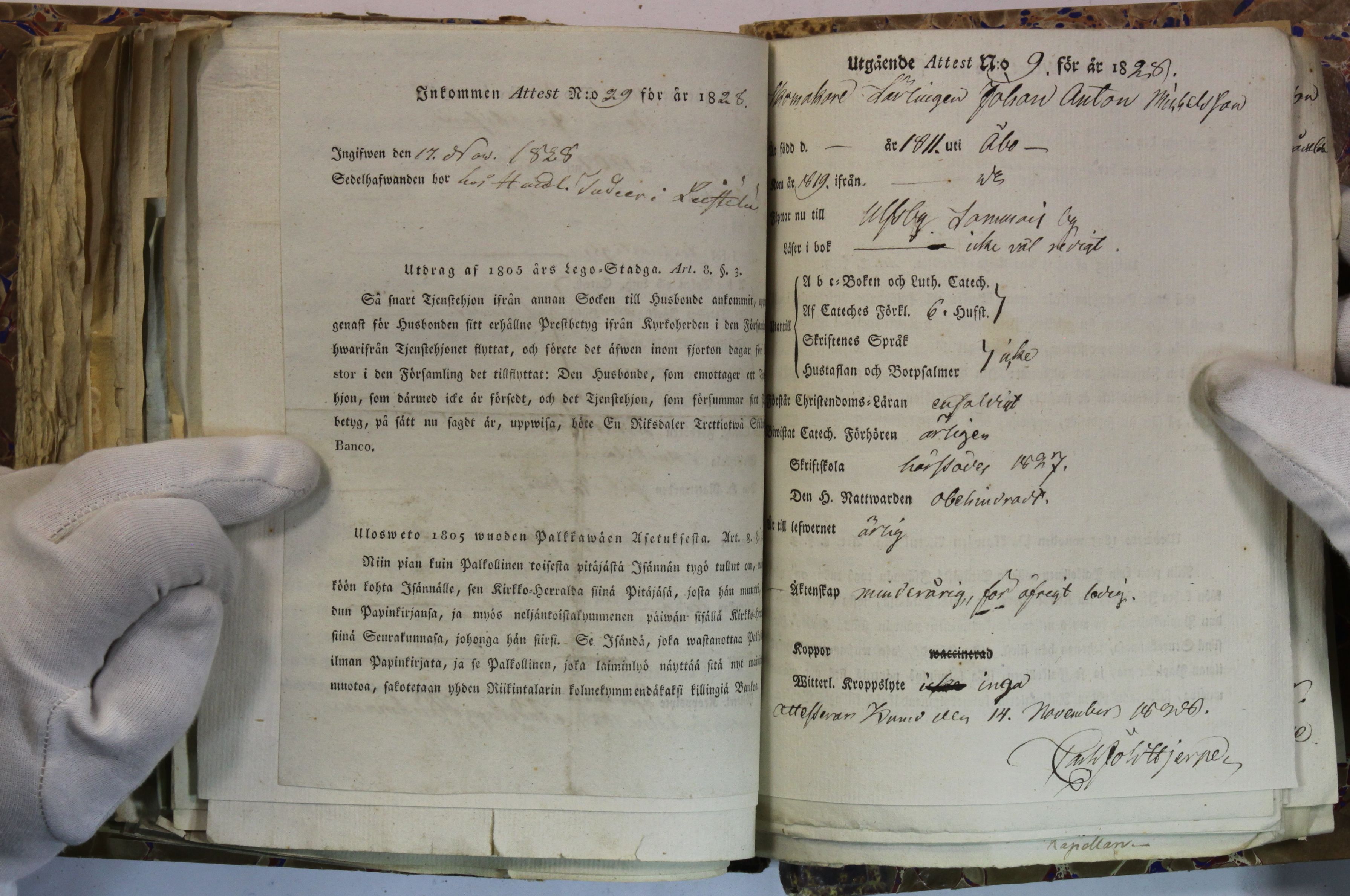 [ kuvat/391.jpg ]