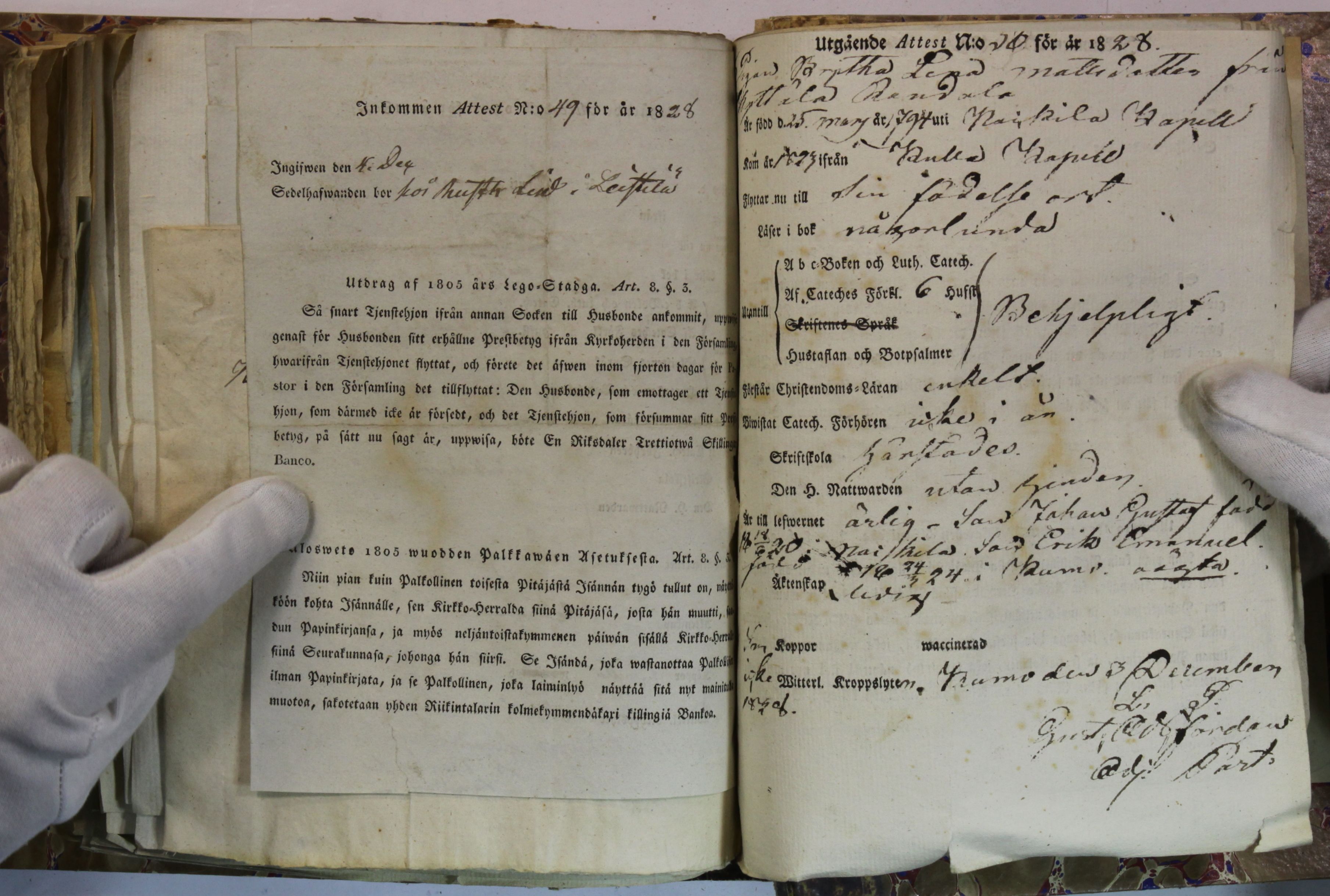 [ kuvat/411.jpg ]