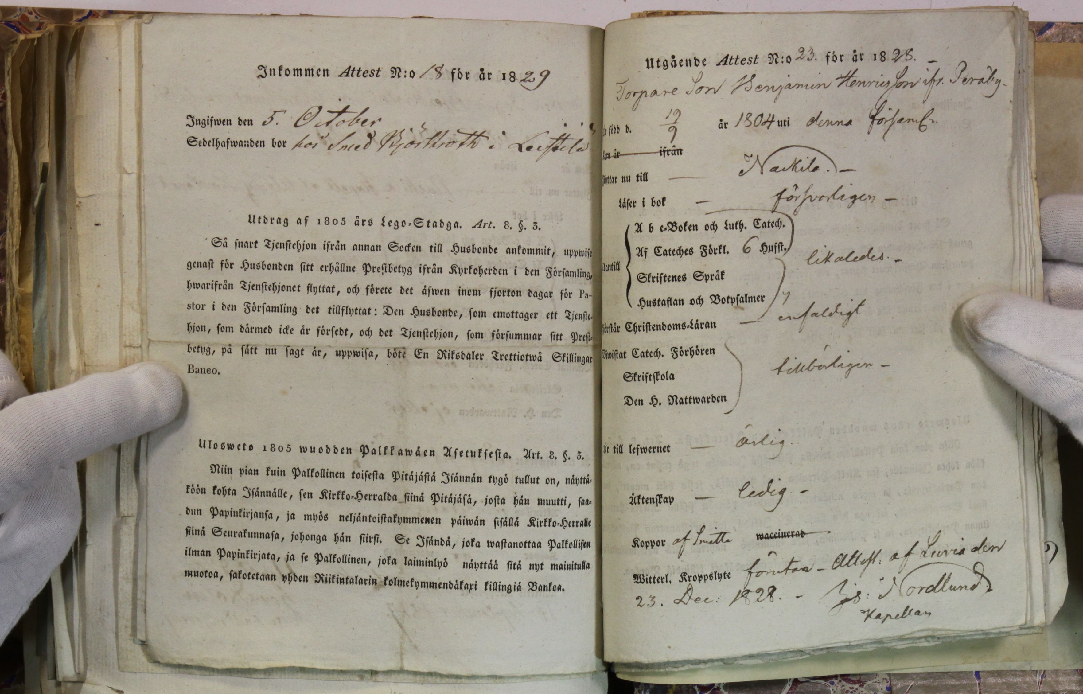 [ kuvat/429.jpg ]