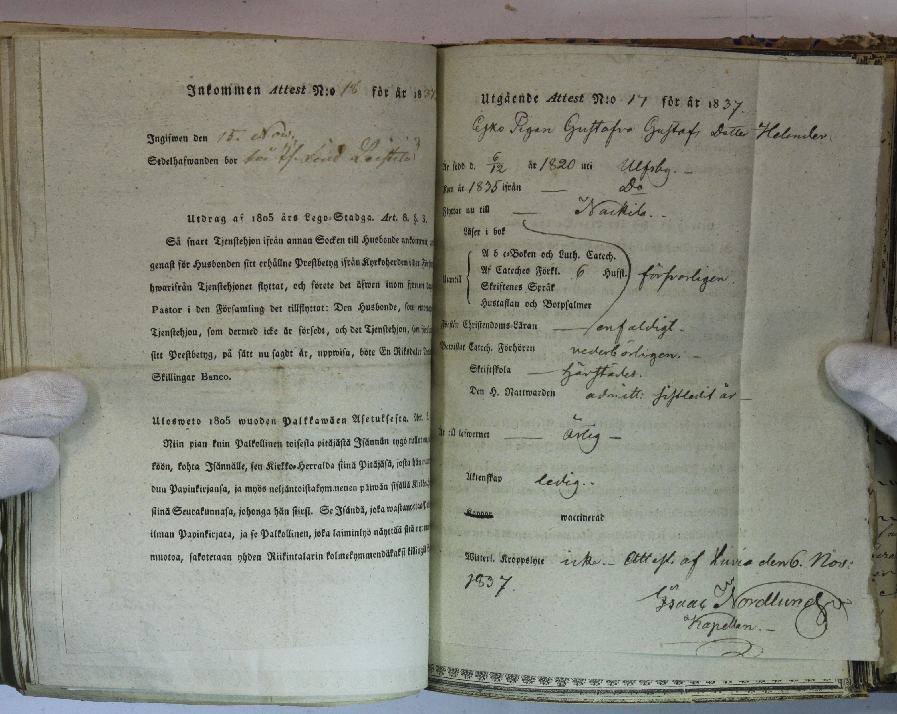 [ kuvat/380.jpg ]