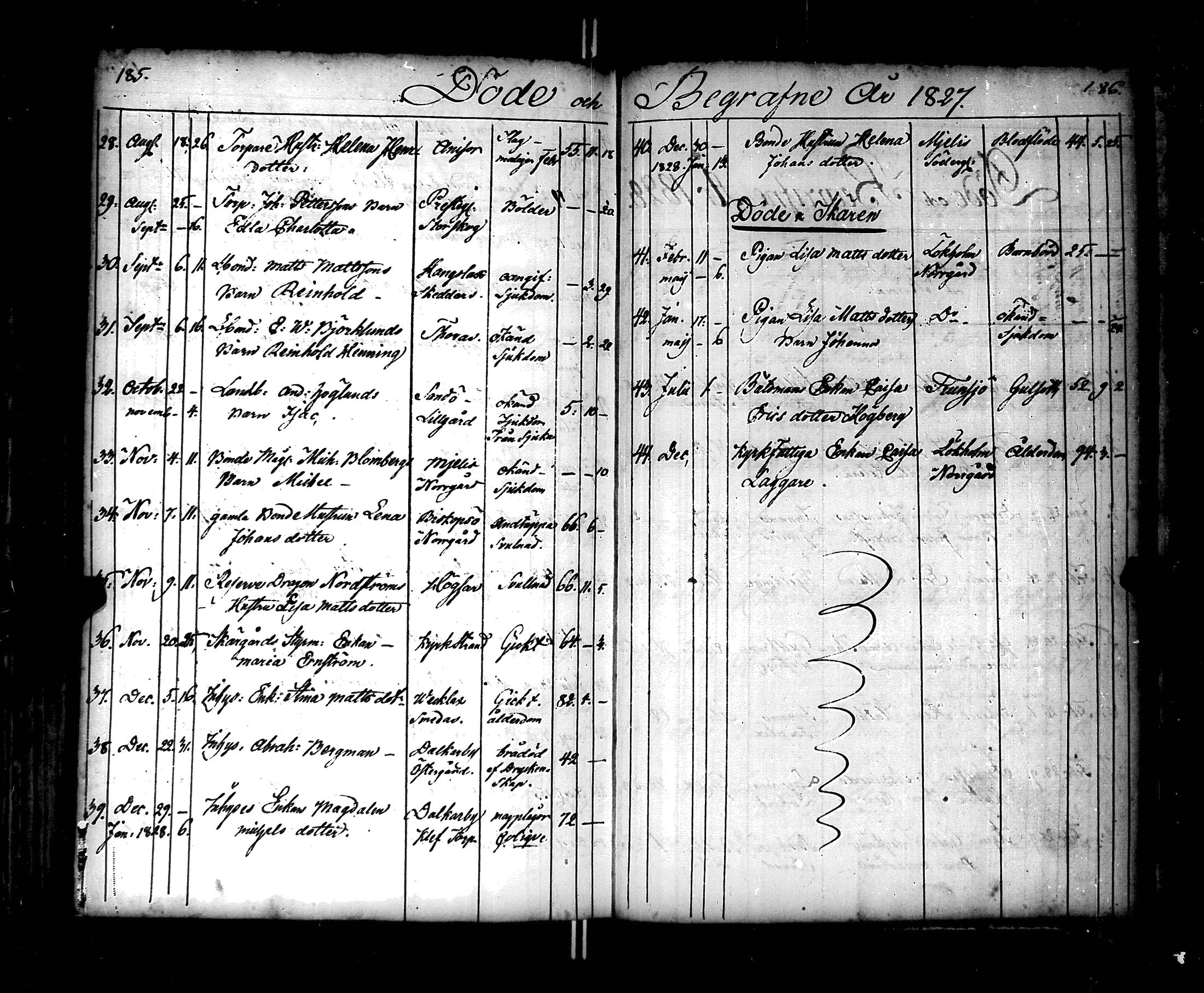 [ kuvat/112.jpg ]