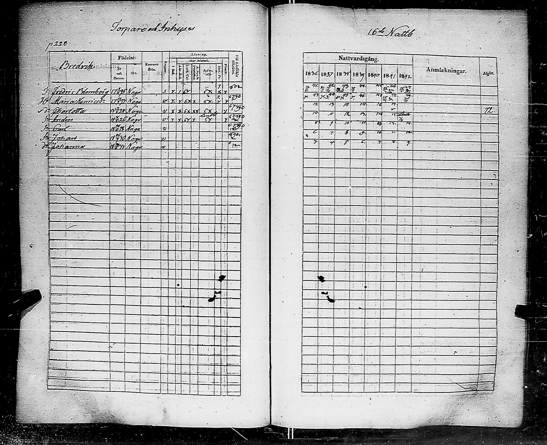 [ kuvat/229.jpg ]