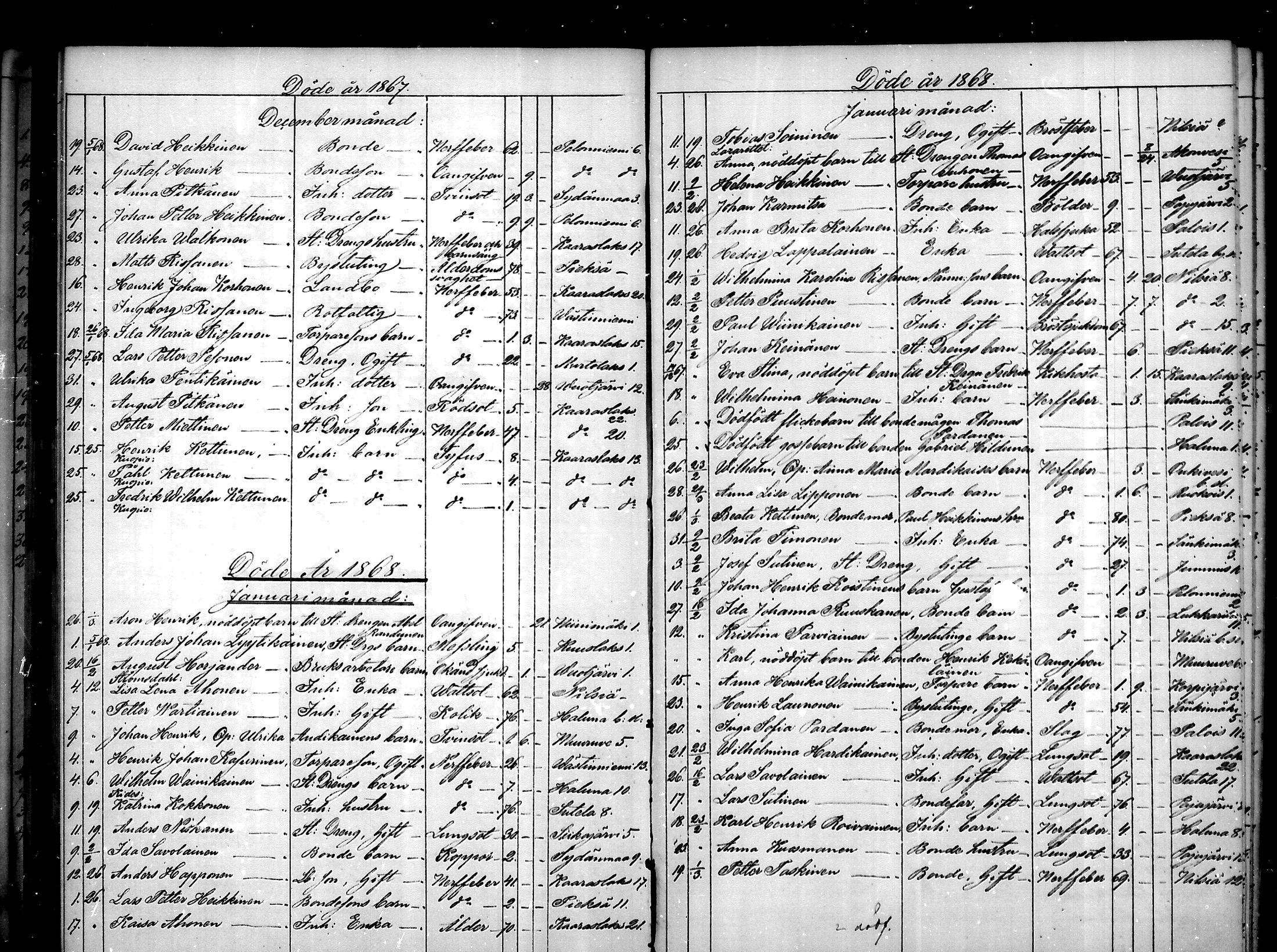 [ kuvat/169.jpg ]