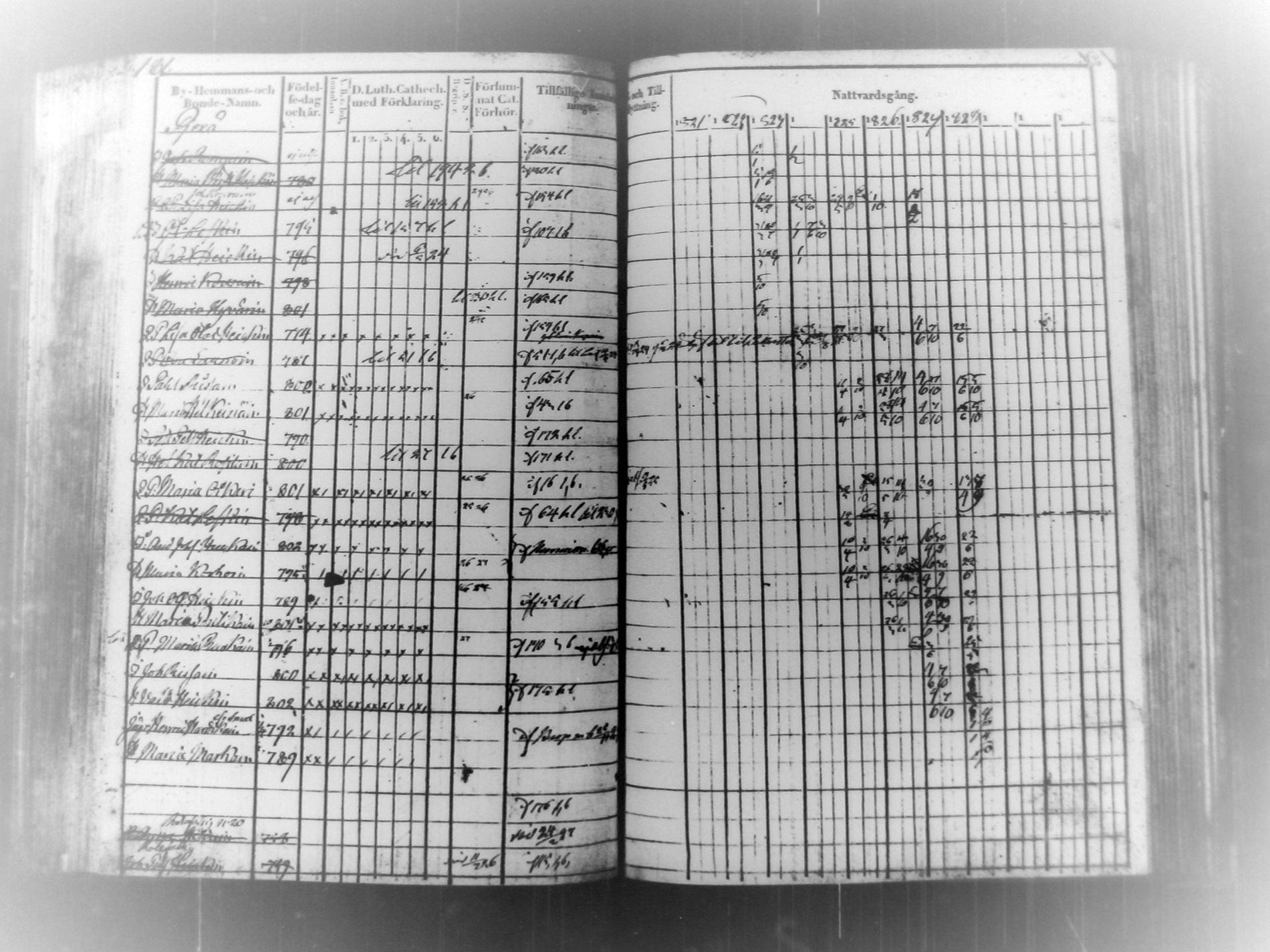 [ kuvat/184.jpg ]