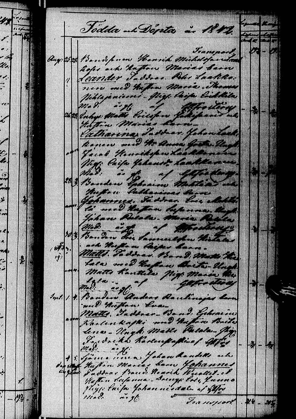 [ kuvat/162.jpg ]