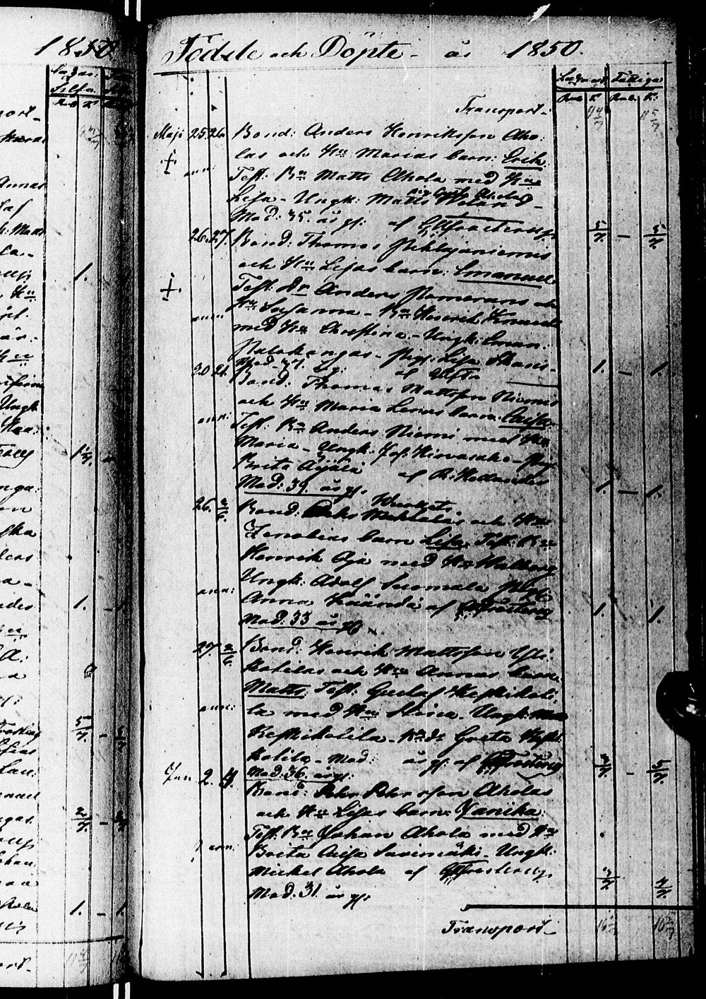 [ kuvat/406.jpg ]