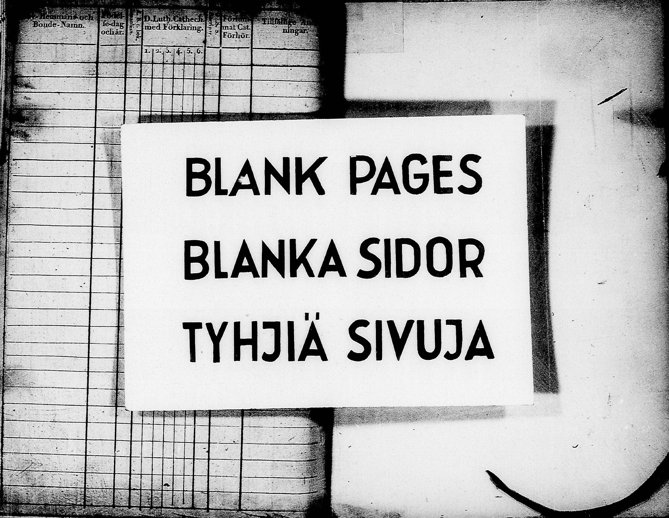 [ kuvat/372.jpg ]