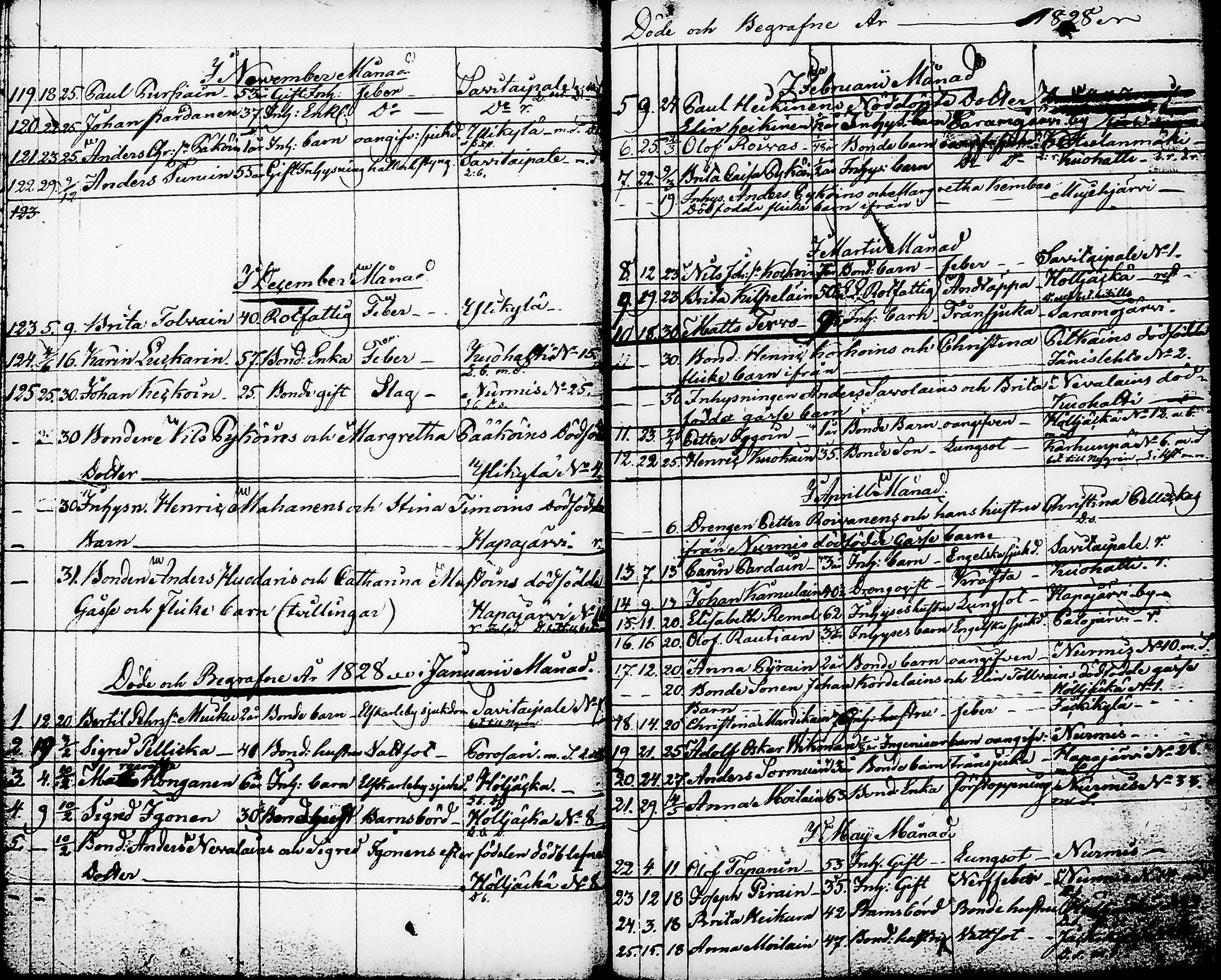 [ kuvat/196.jpg ]