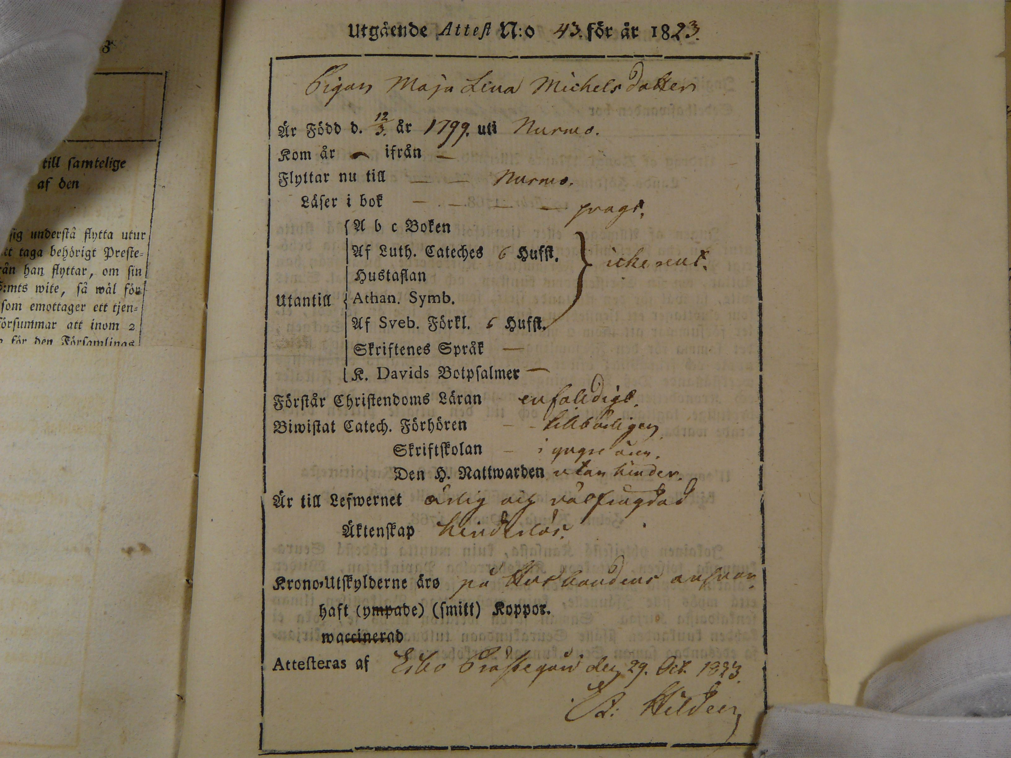 [ kuvat/977.jpg ]