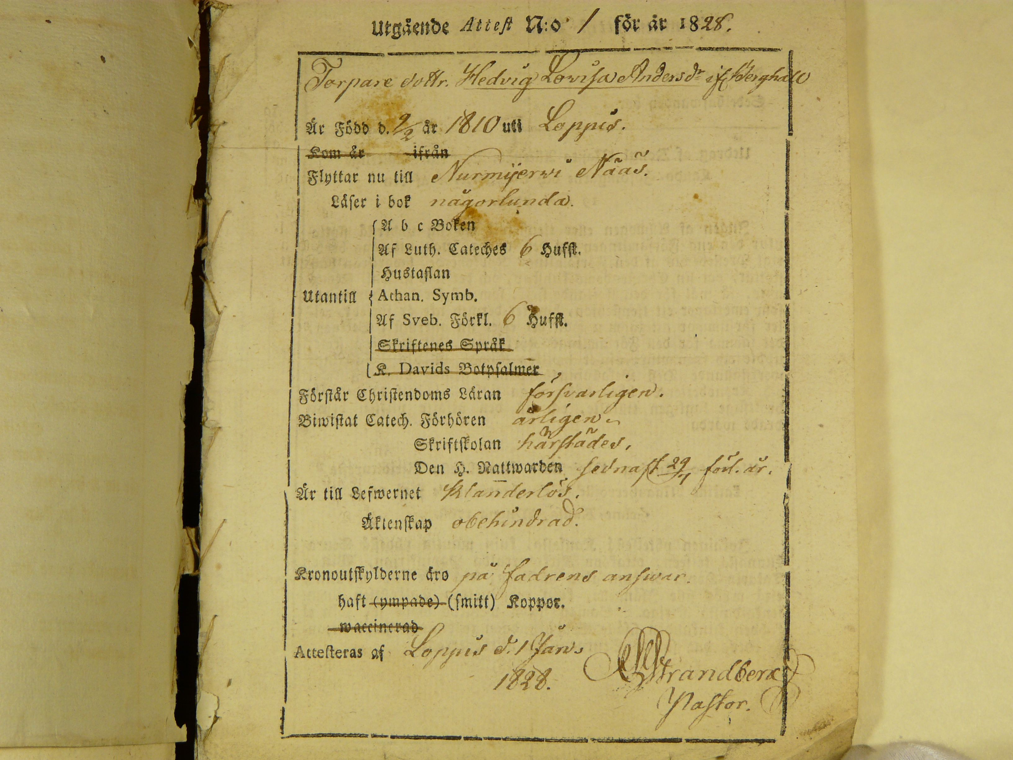 [ kuvat/498.jpg ]