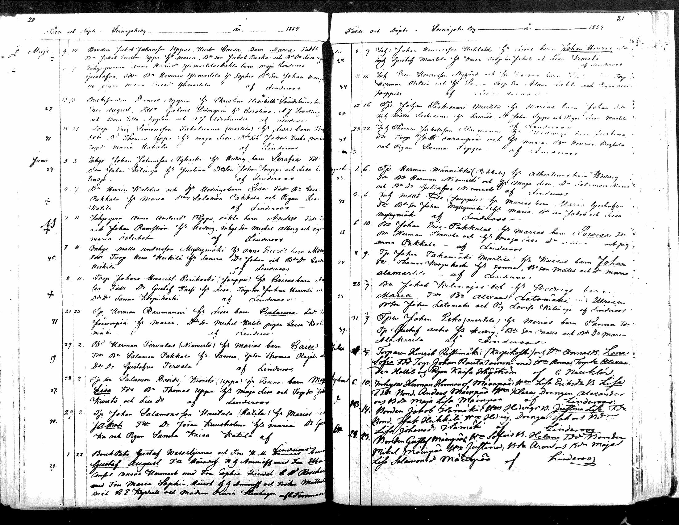 [ kuvat/191.jpg ]