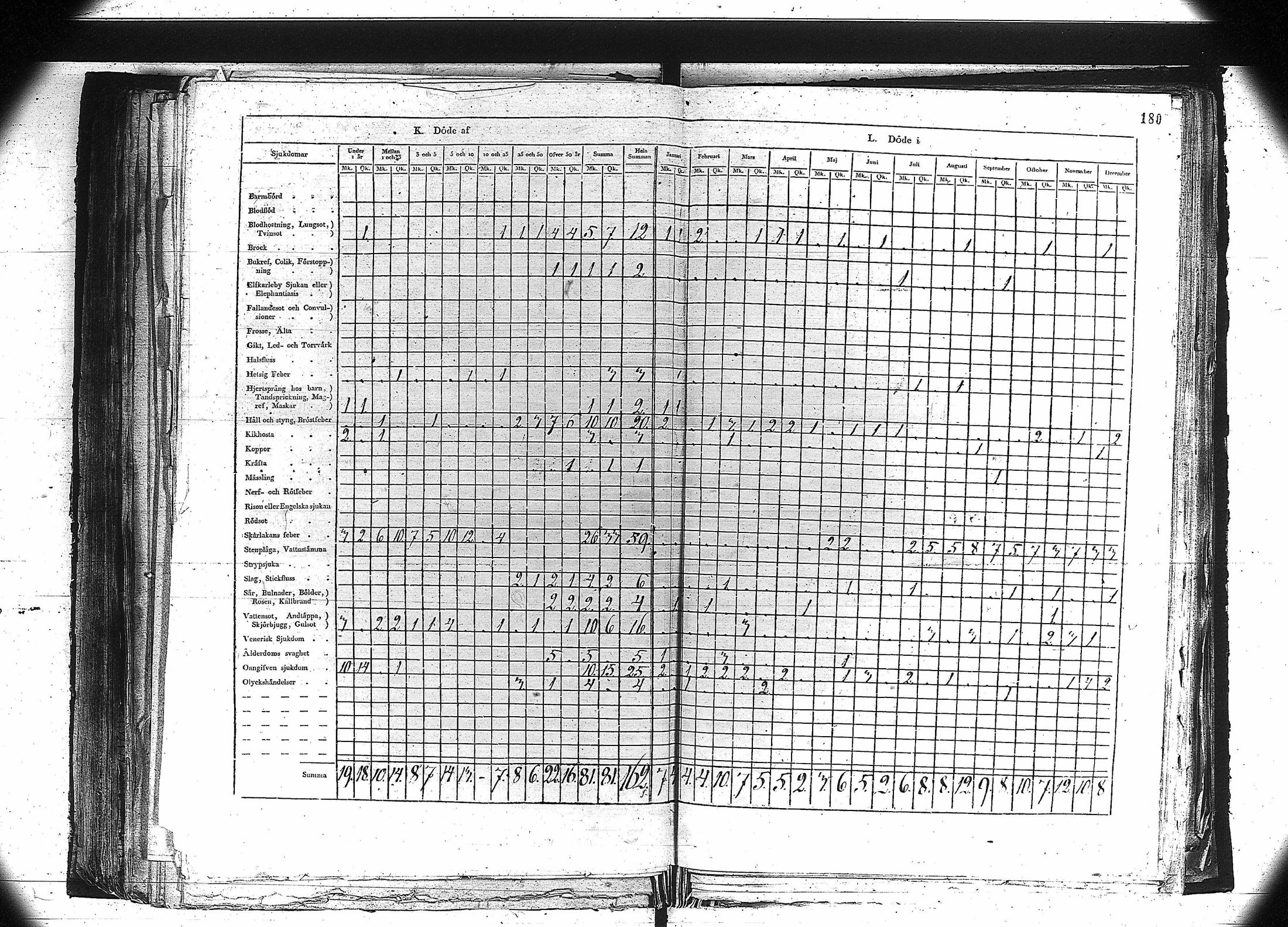 [ kuvat/167.jpg ]