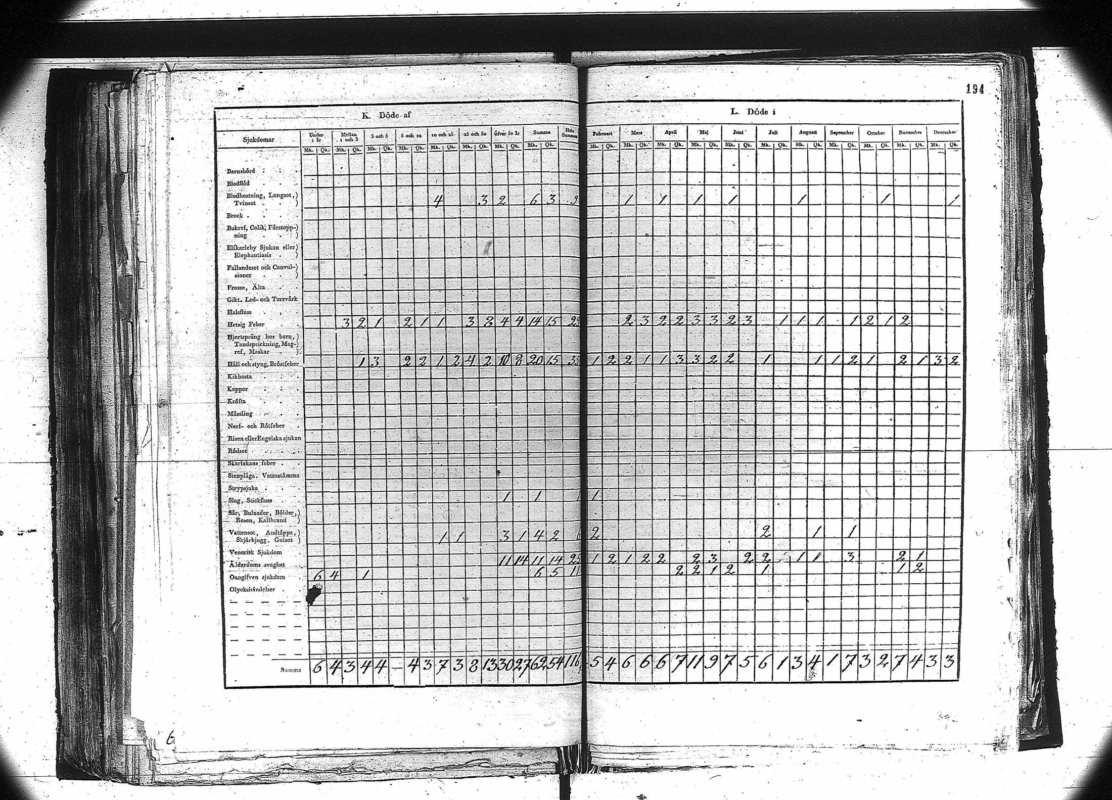 [ kuvat/181.jpg ]