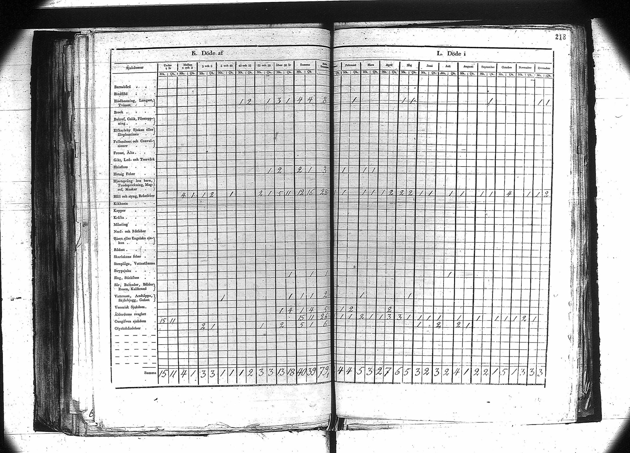 [ kuvat/205.jpg ]