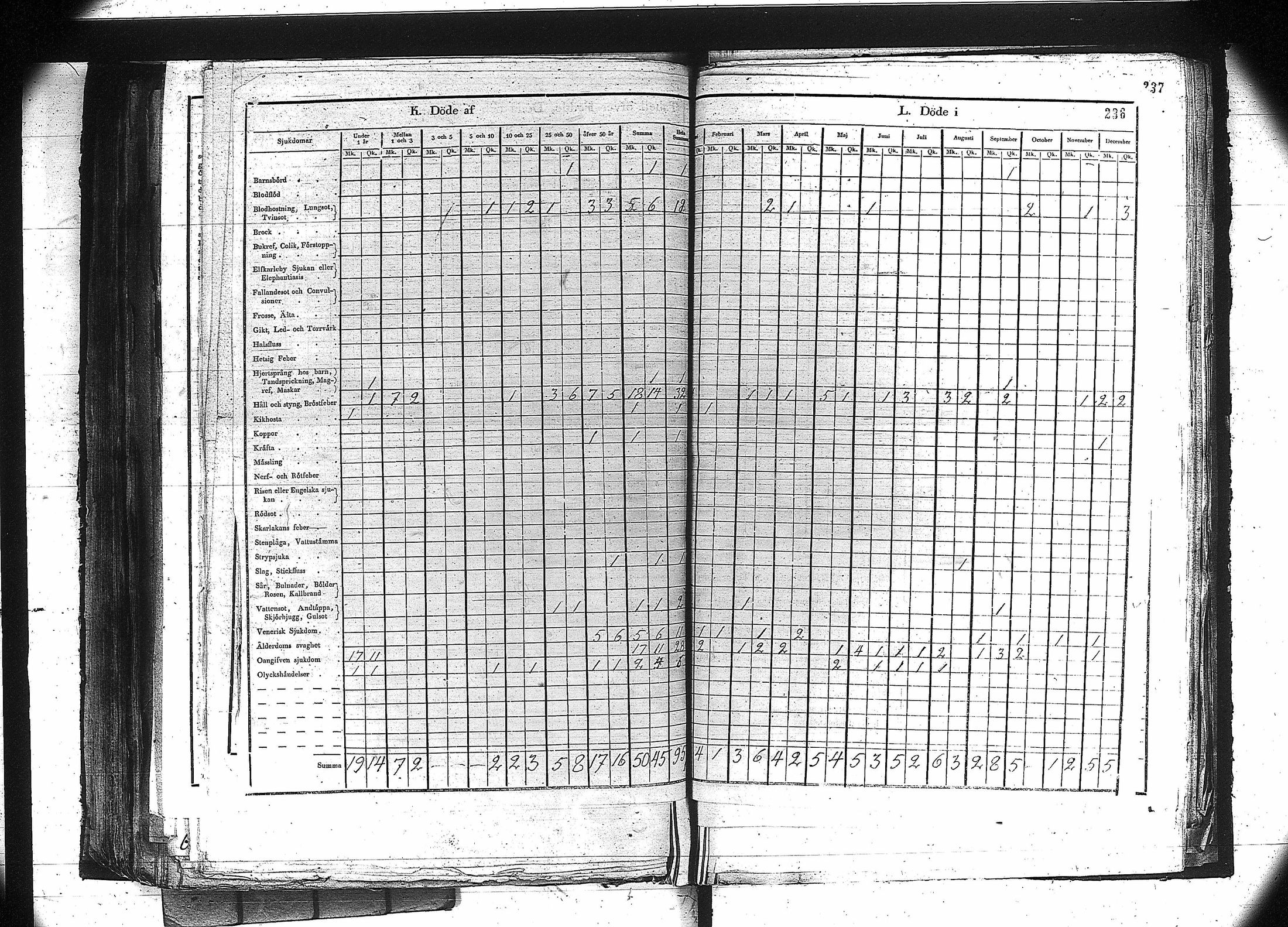 [ kuvat/223.jpg ]