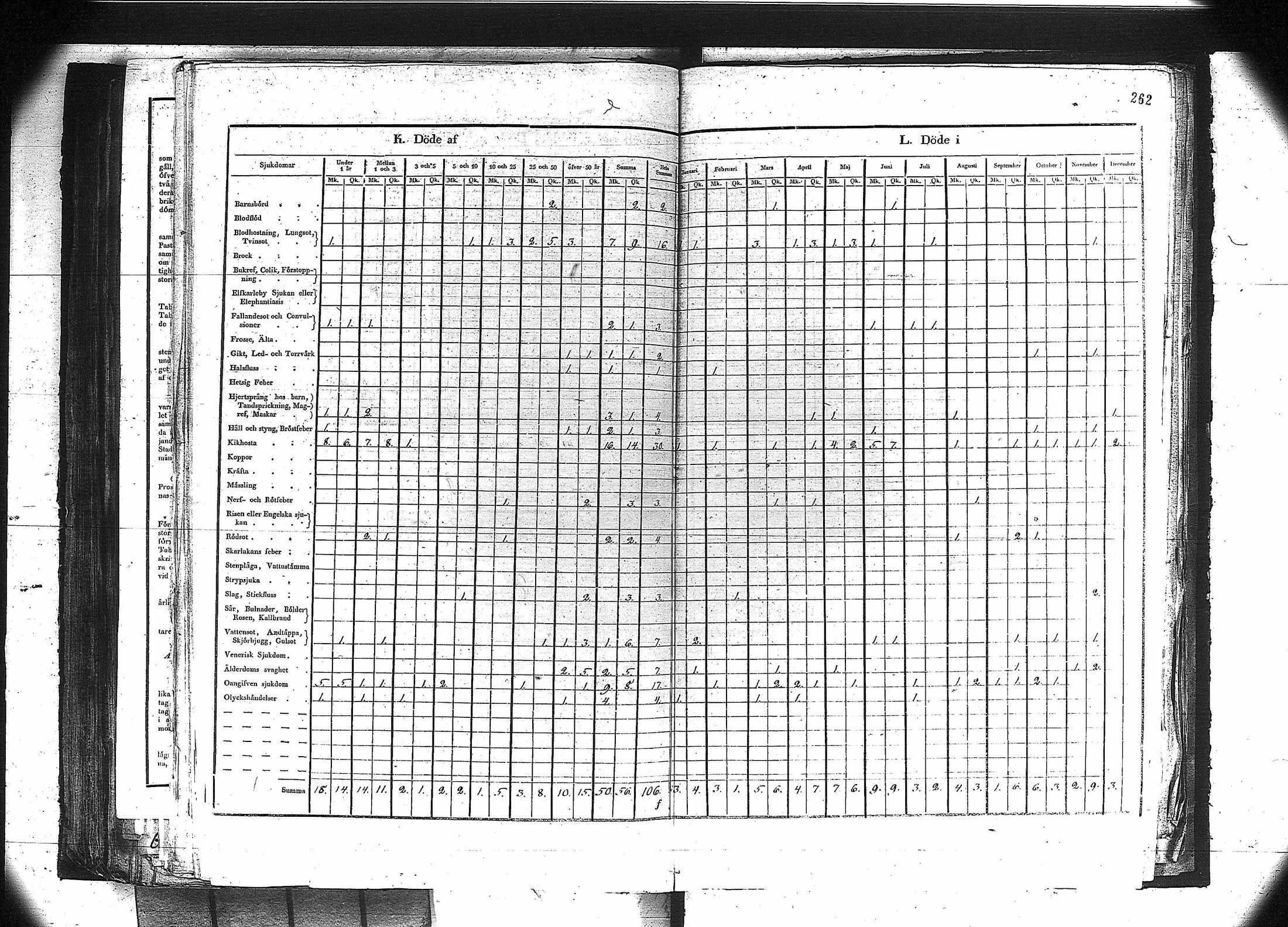 [ kuvat/249.jpg ]