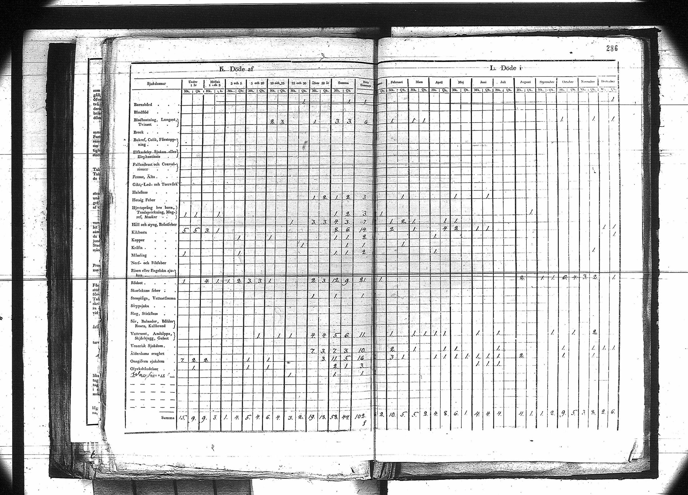 [ kuvat/273.jpg ]