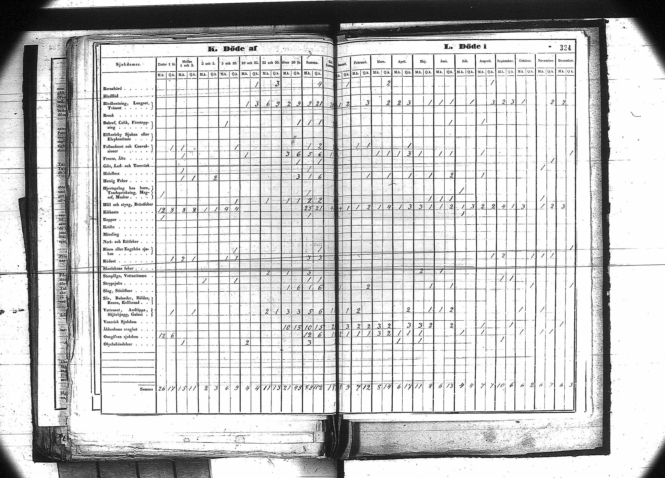 [ kuvat/311.jpg ]