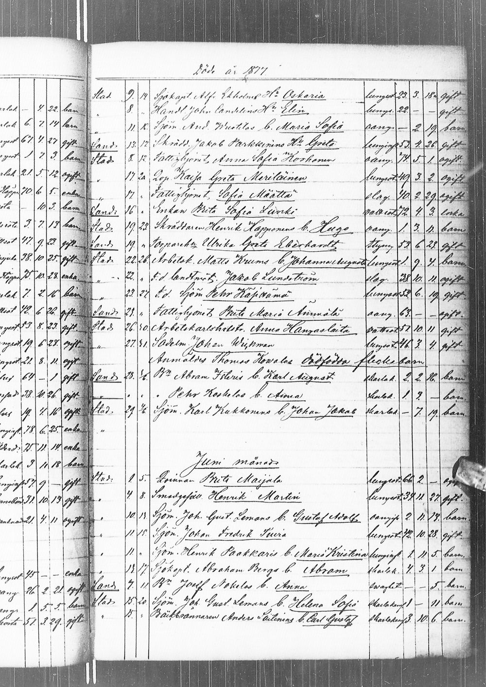 [ kuvat/172.jpg ]