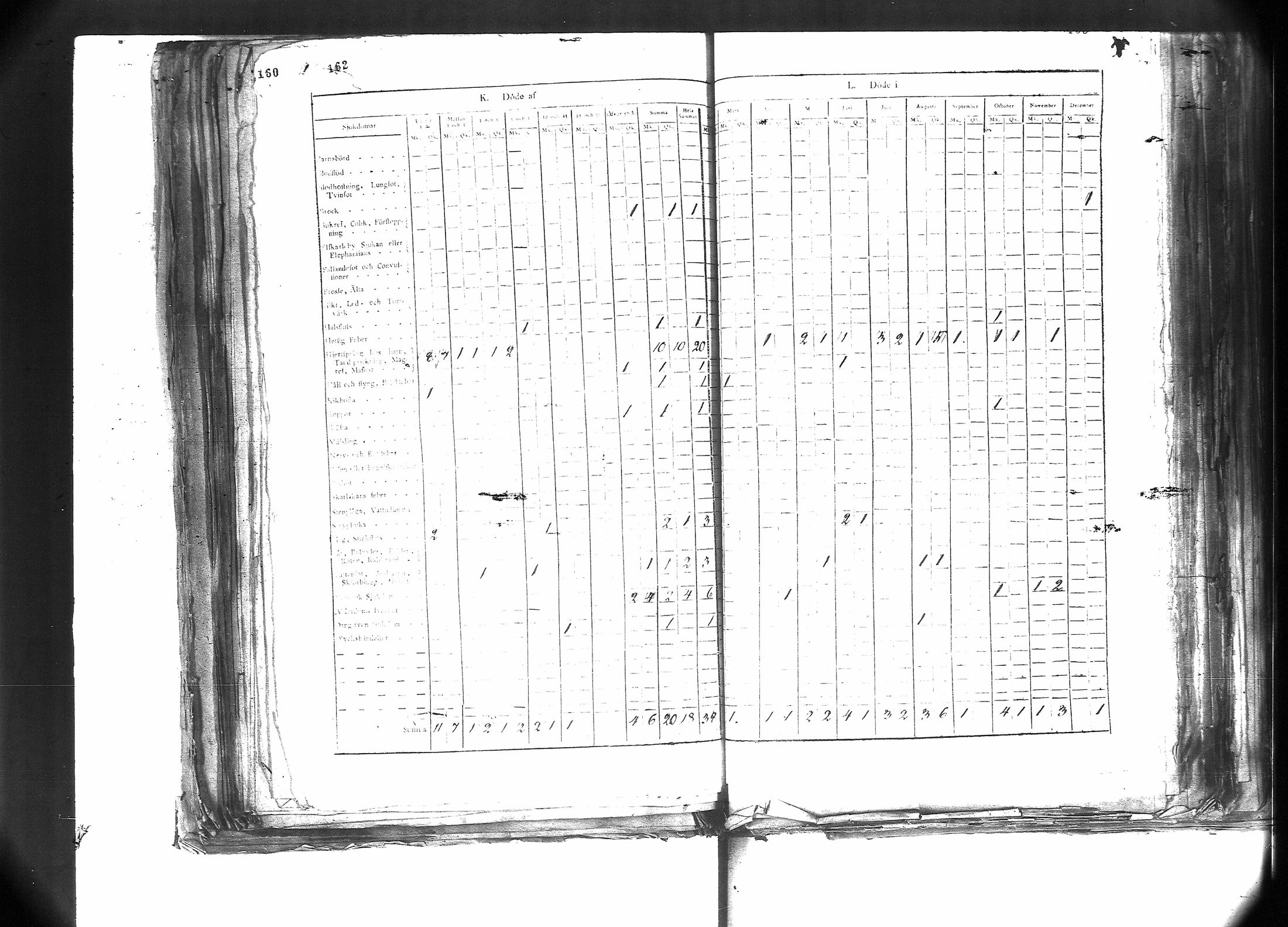 [ kuvat/121.jpg ]