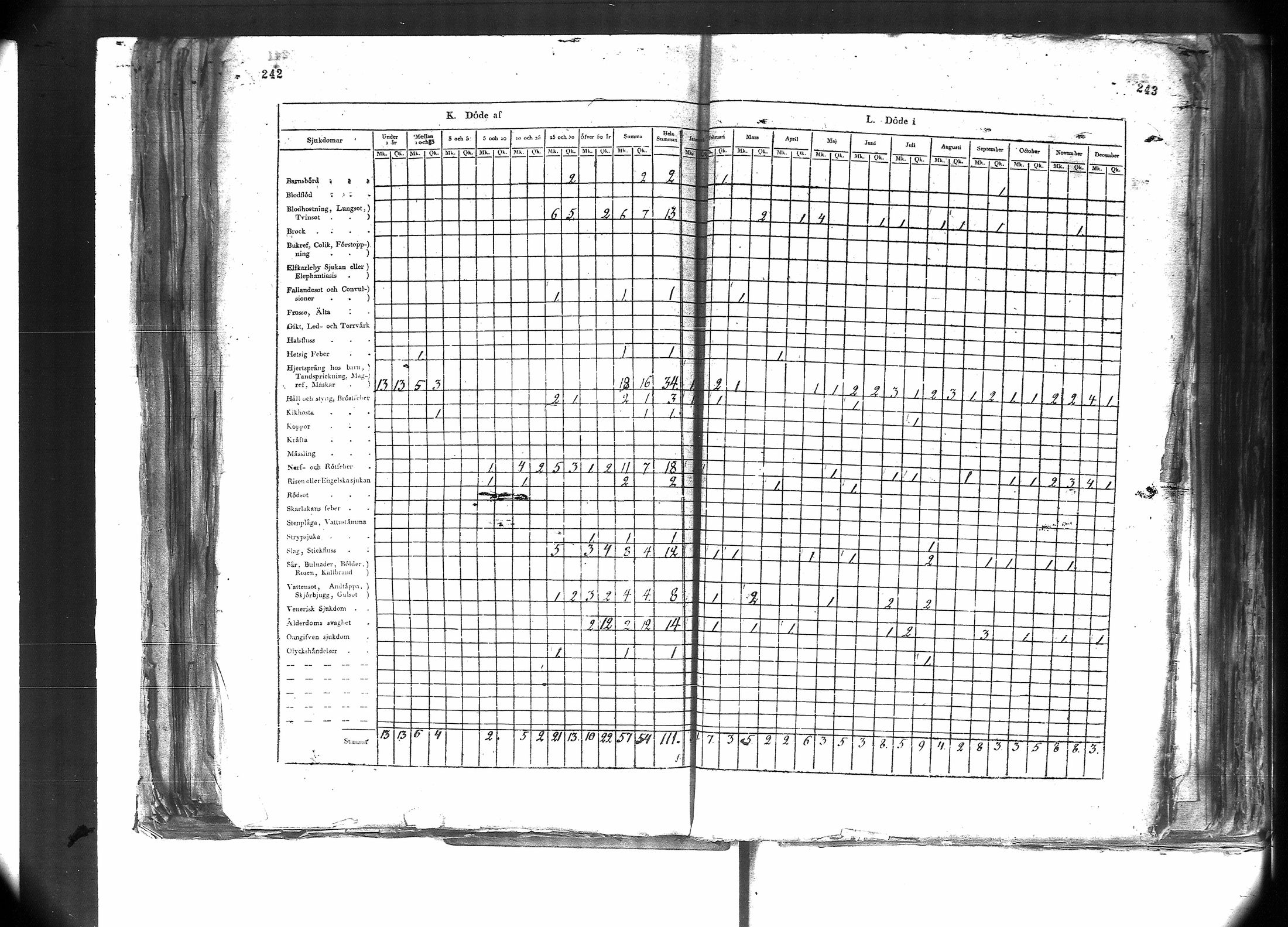 [ kuvat/162.jpg ]