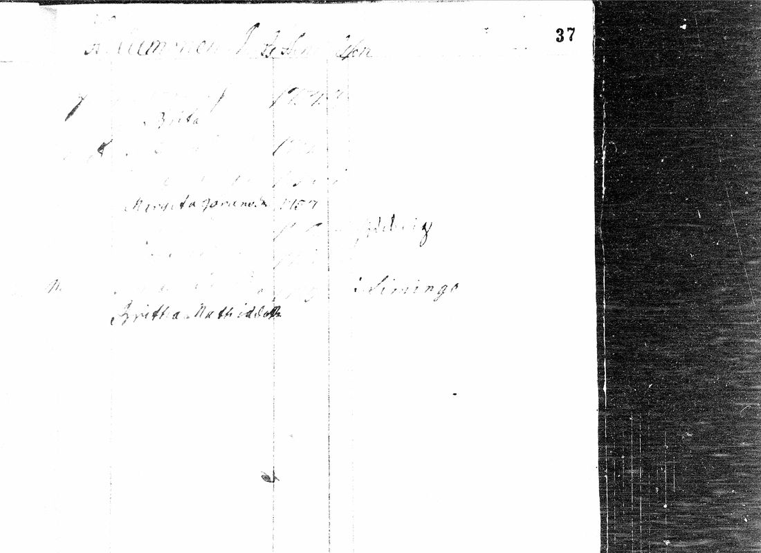 [ kuvat/118.jpg ]