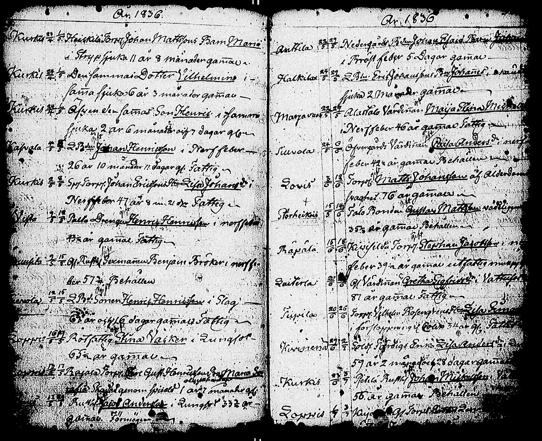 [ kuvat/168.jpg ]