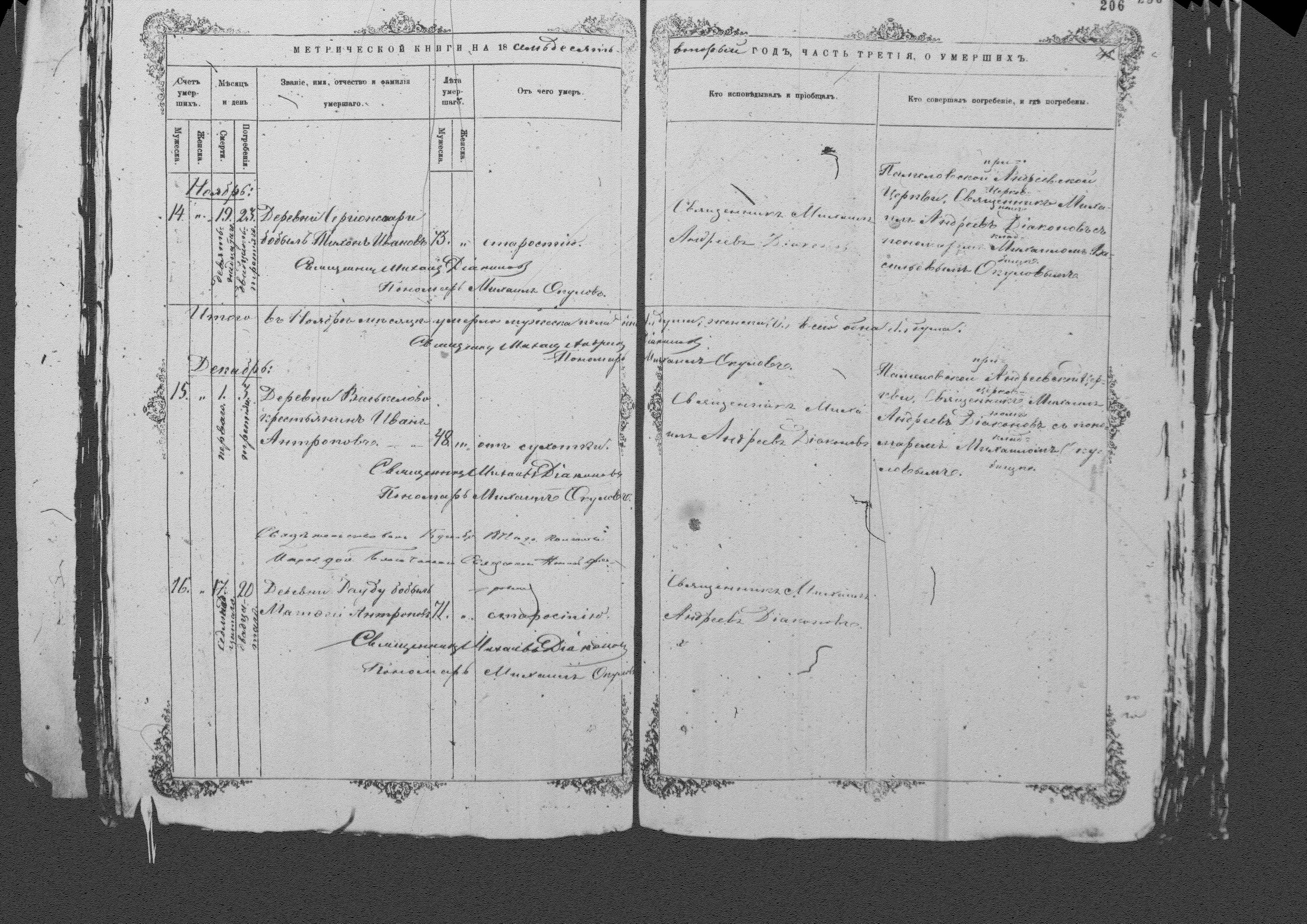 [ kuvat/203.jpg ]