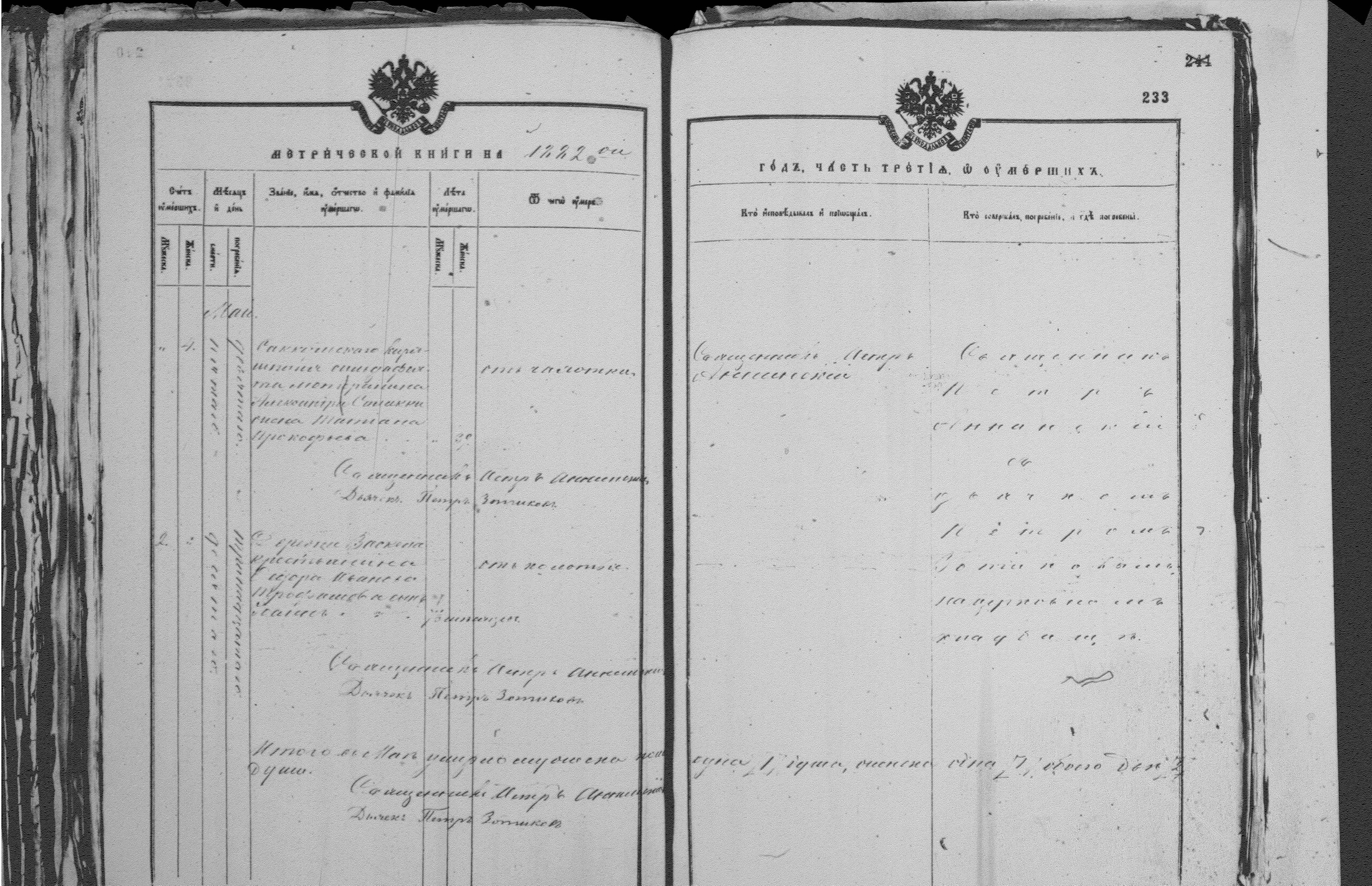 [ kuvat/233.jpg ]
