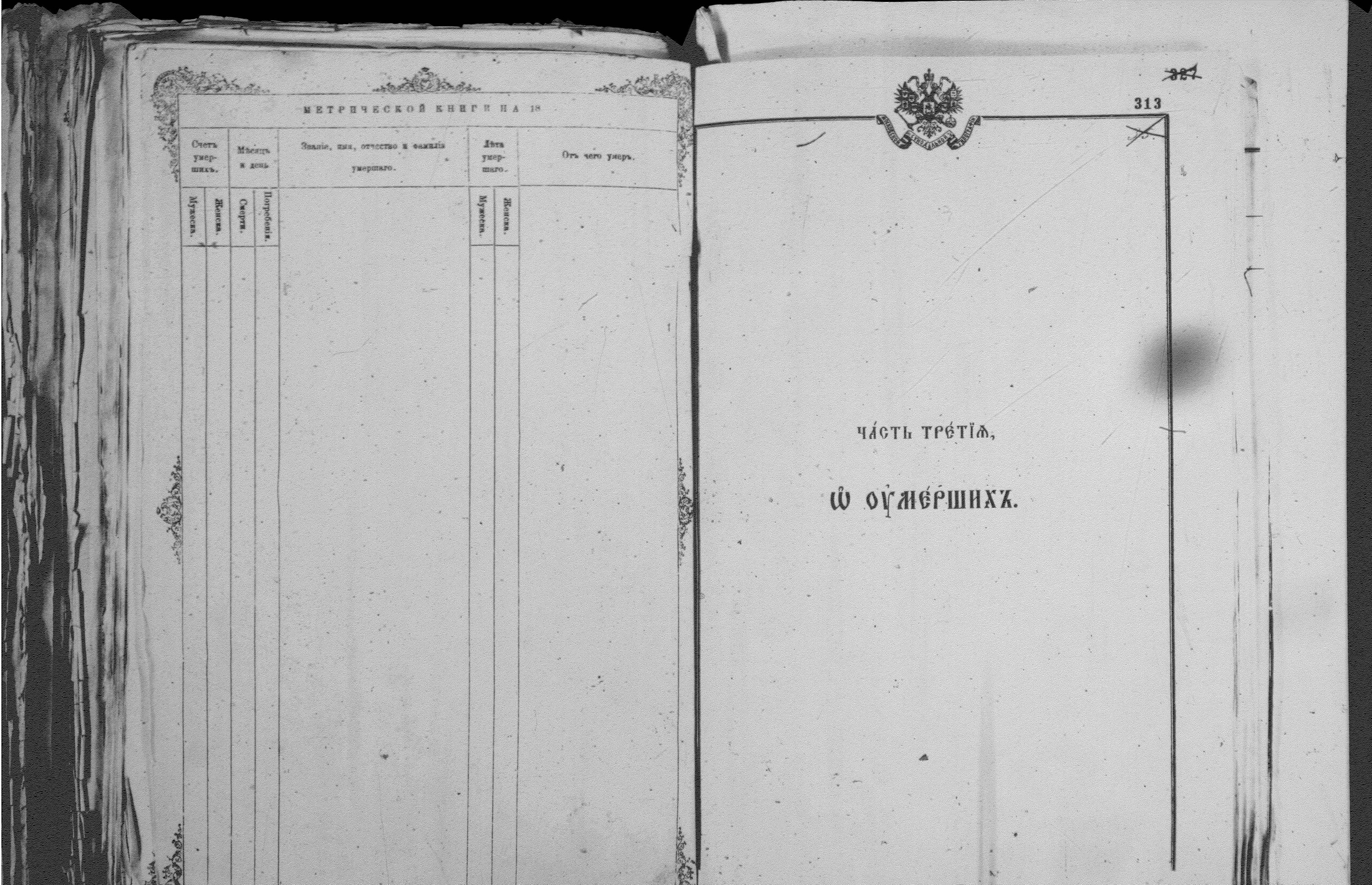 [ kuvat/313.jpg ]