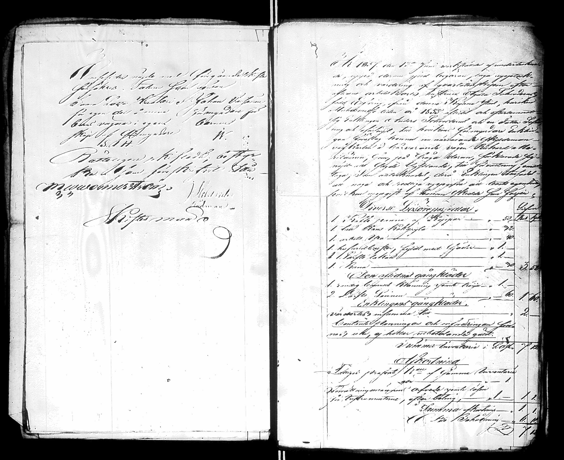 [ kuvat/183.jpg ]