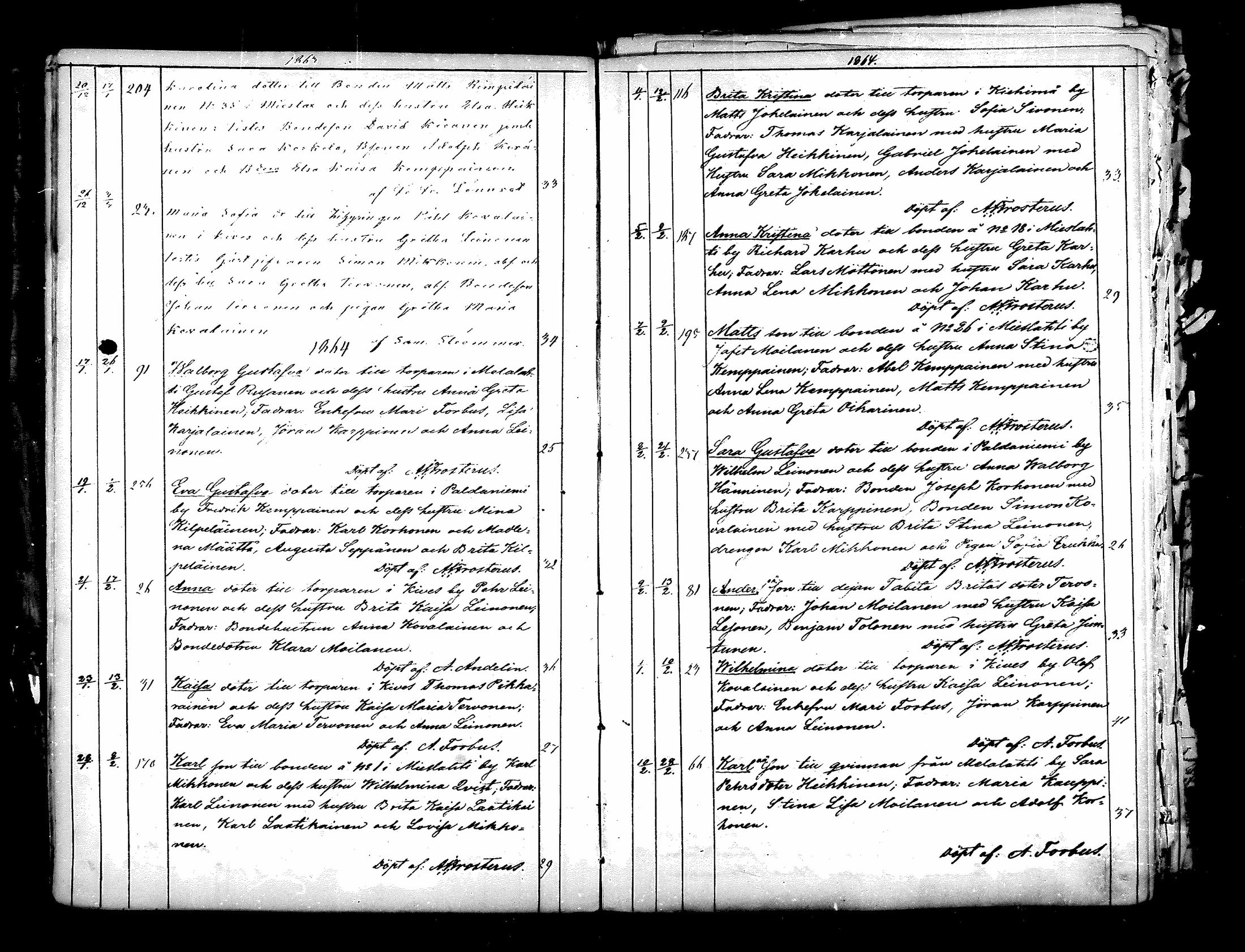 [ kuvat/41.jpg ]