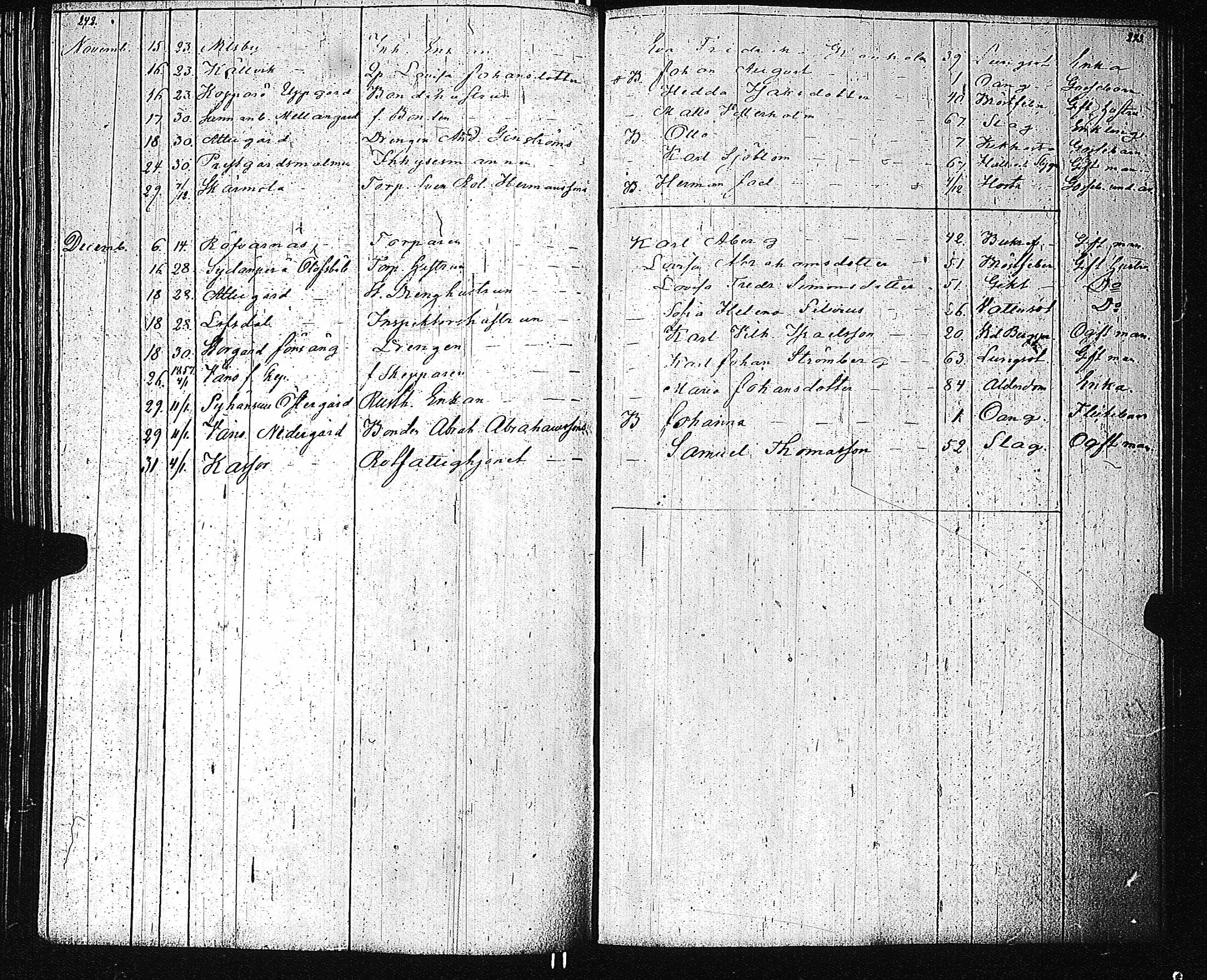 [ kuvat/161.jpg ]