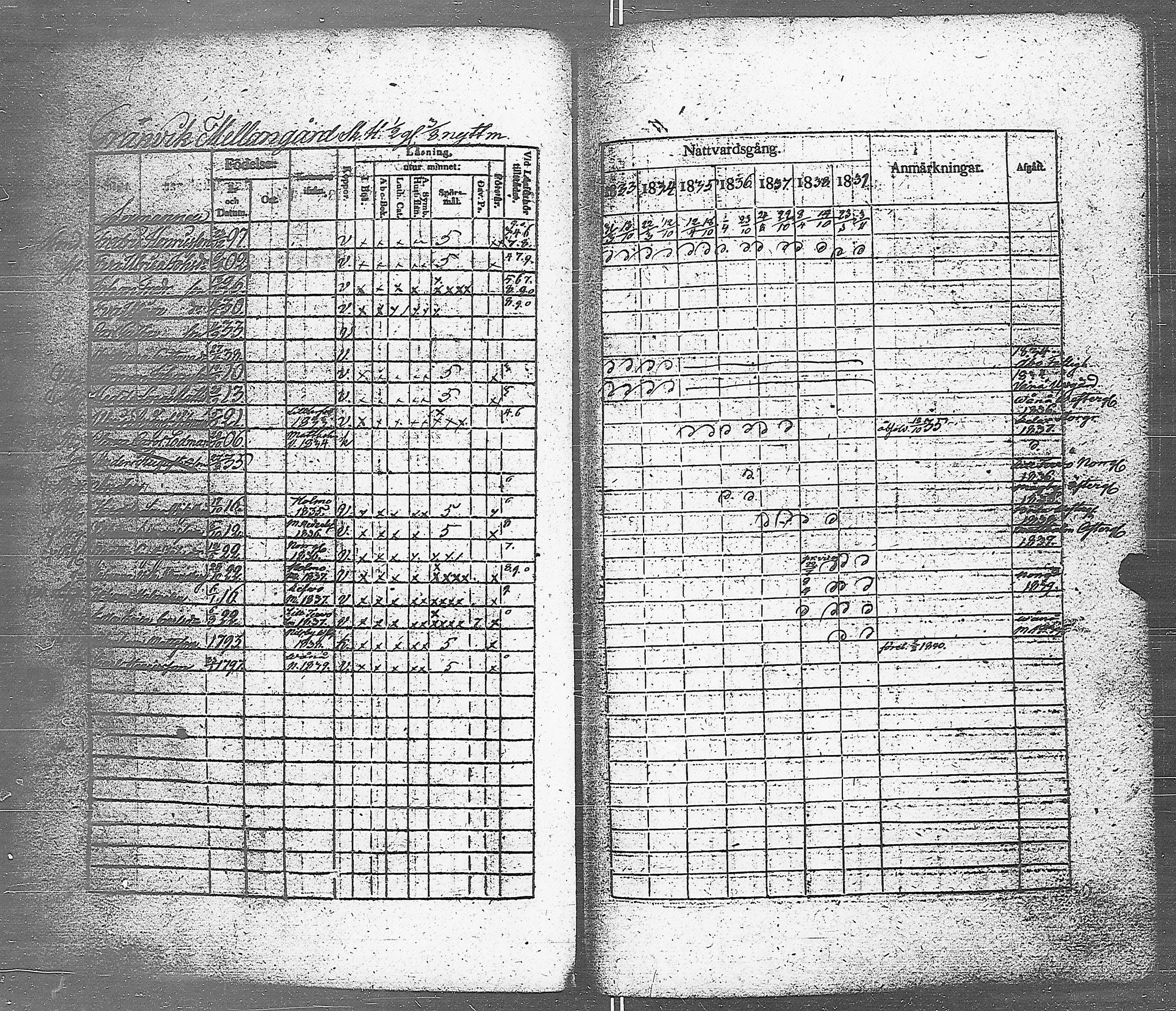 [ kuvat/80.jpg ]