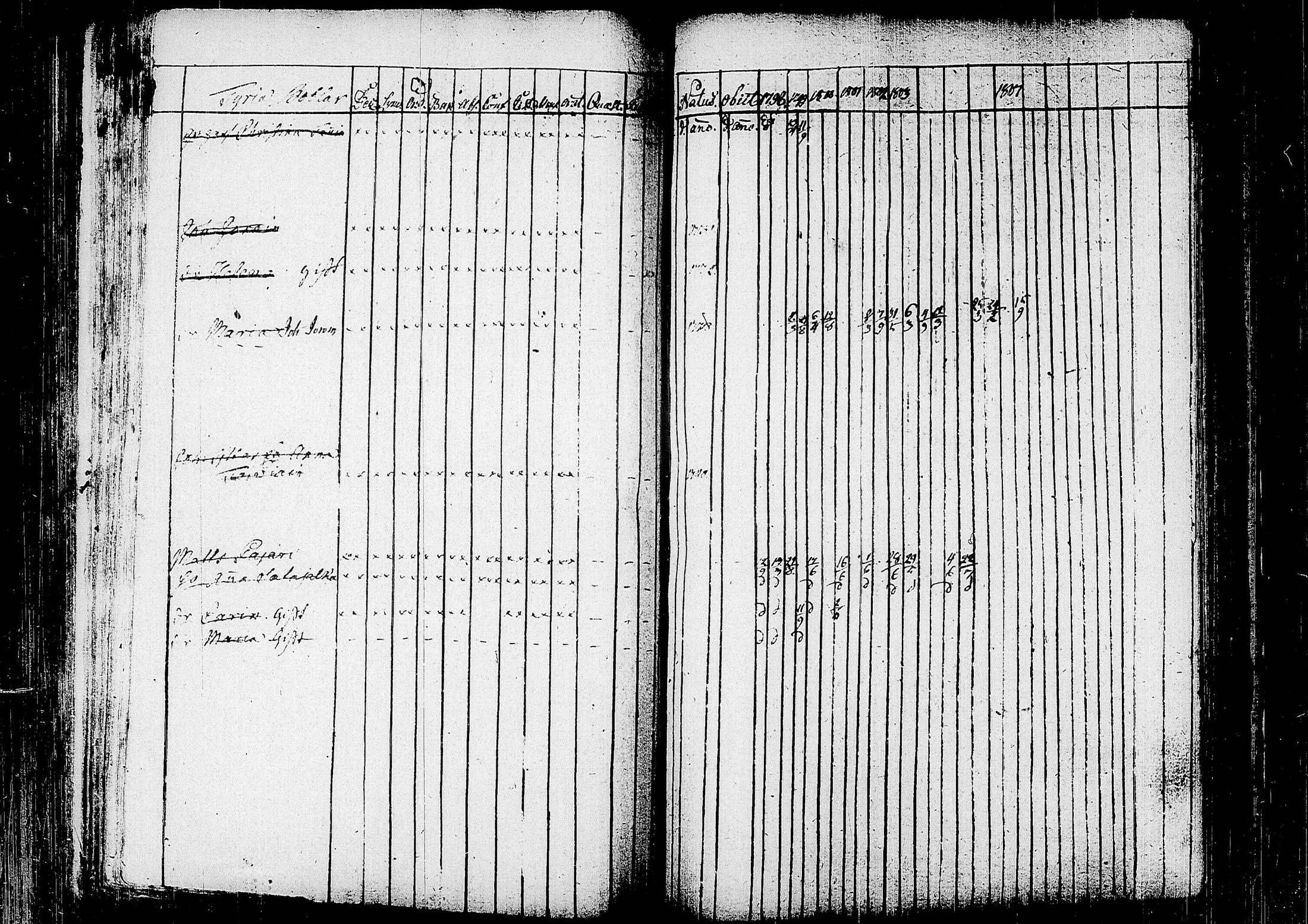 [ kuvat/312.jpg ]