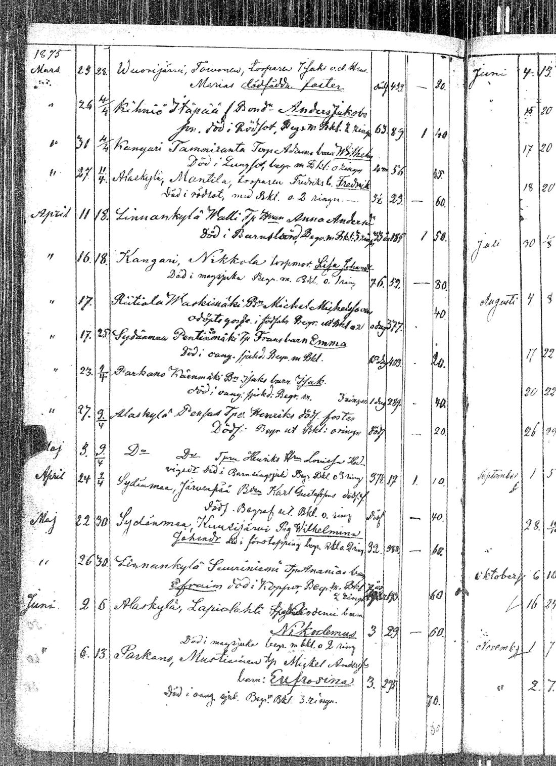 [ kuvat/185.jpg ]