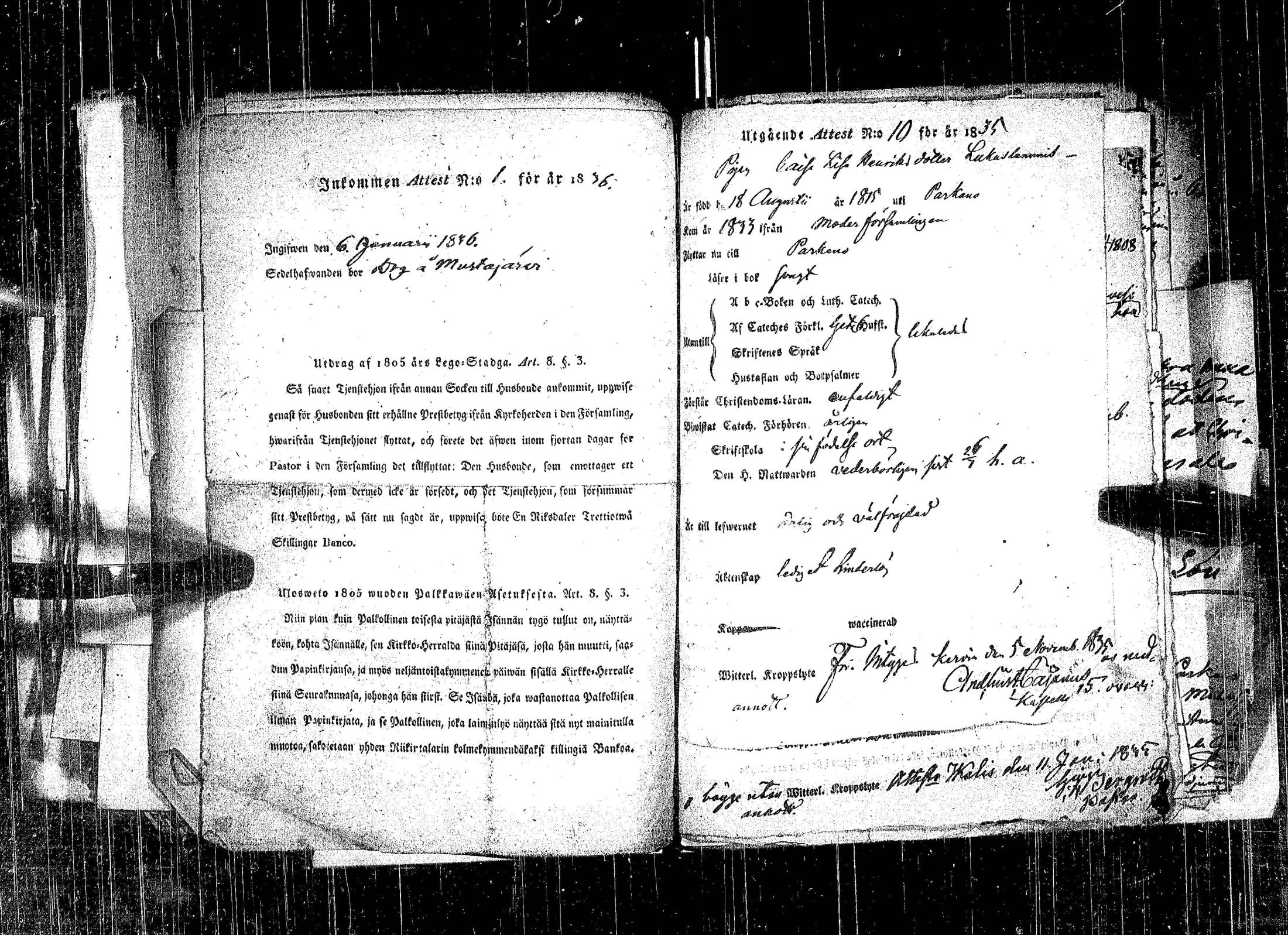 [ kuvat/118.jpg ]