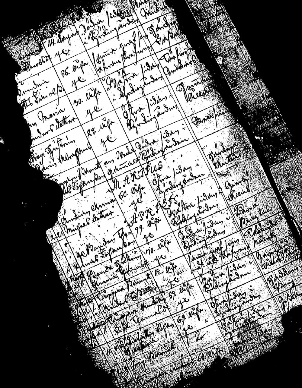 [ kuvat/131.jpg ]