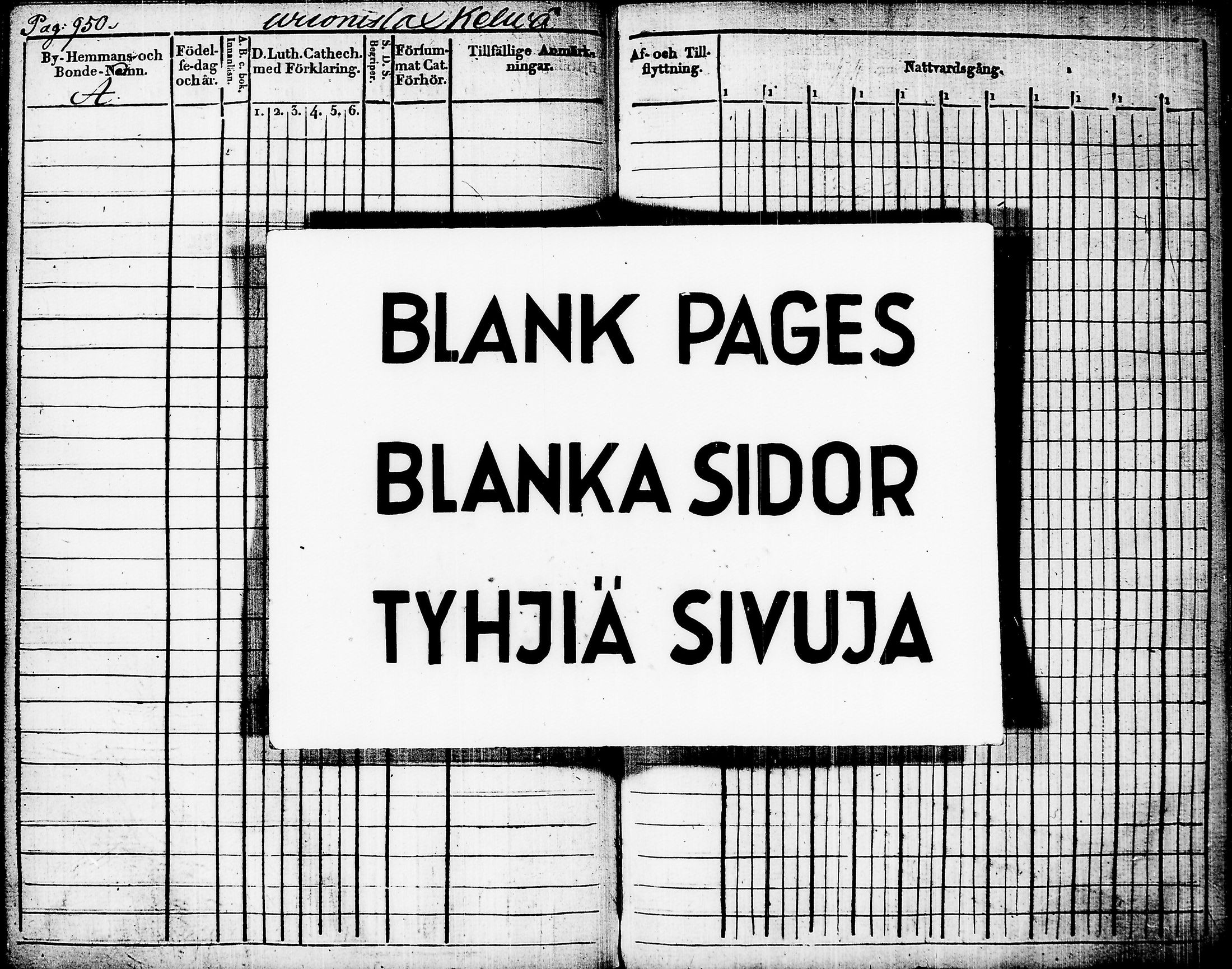 [ kuvat/197.jpg ]