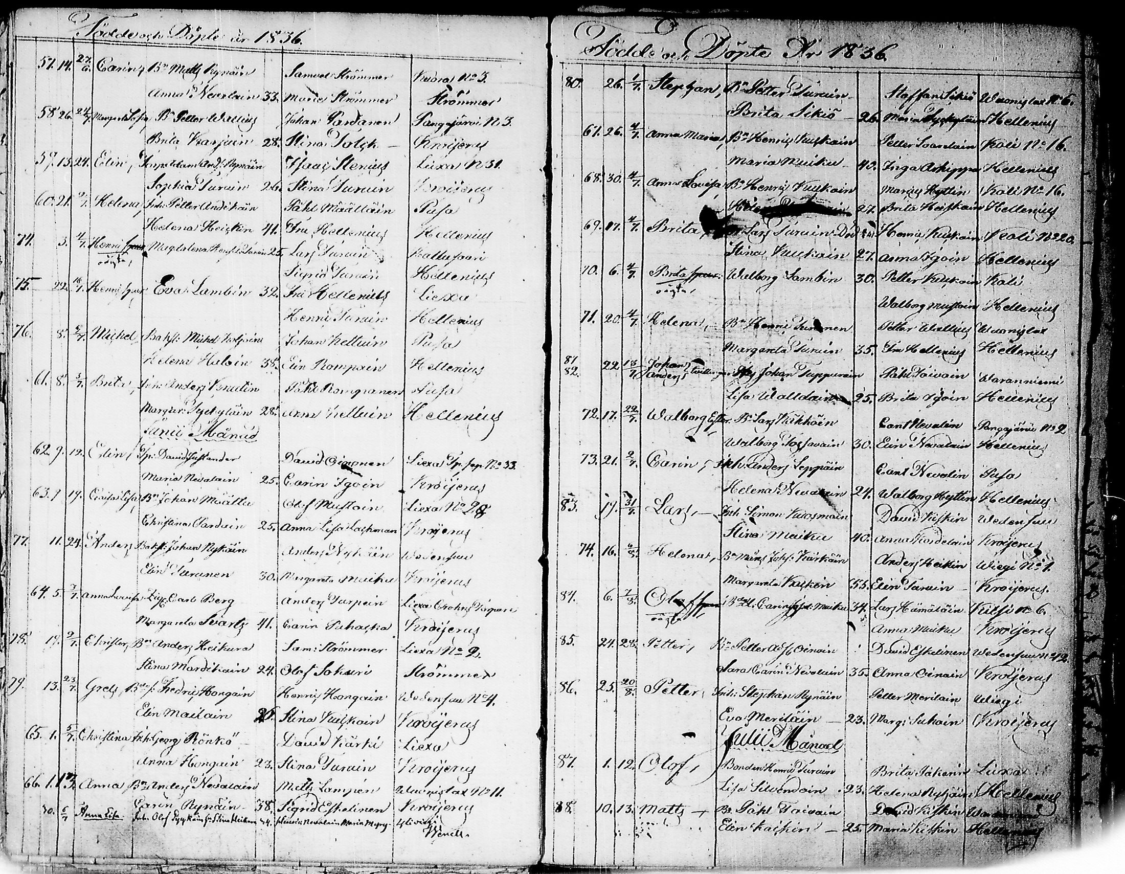 [ kuvat/157.jpg ]