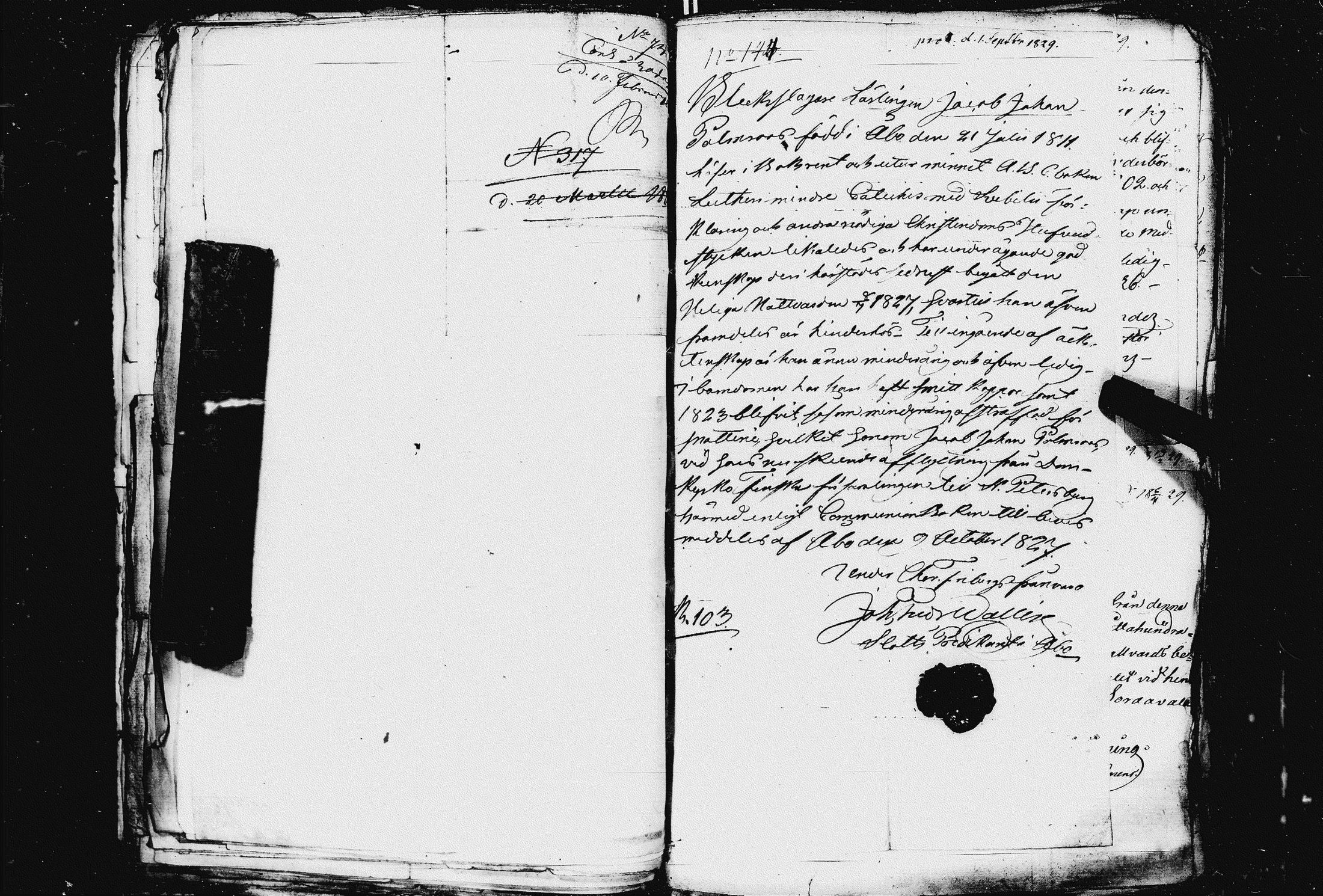 [ kuvat/119.jpg ]