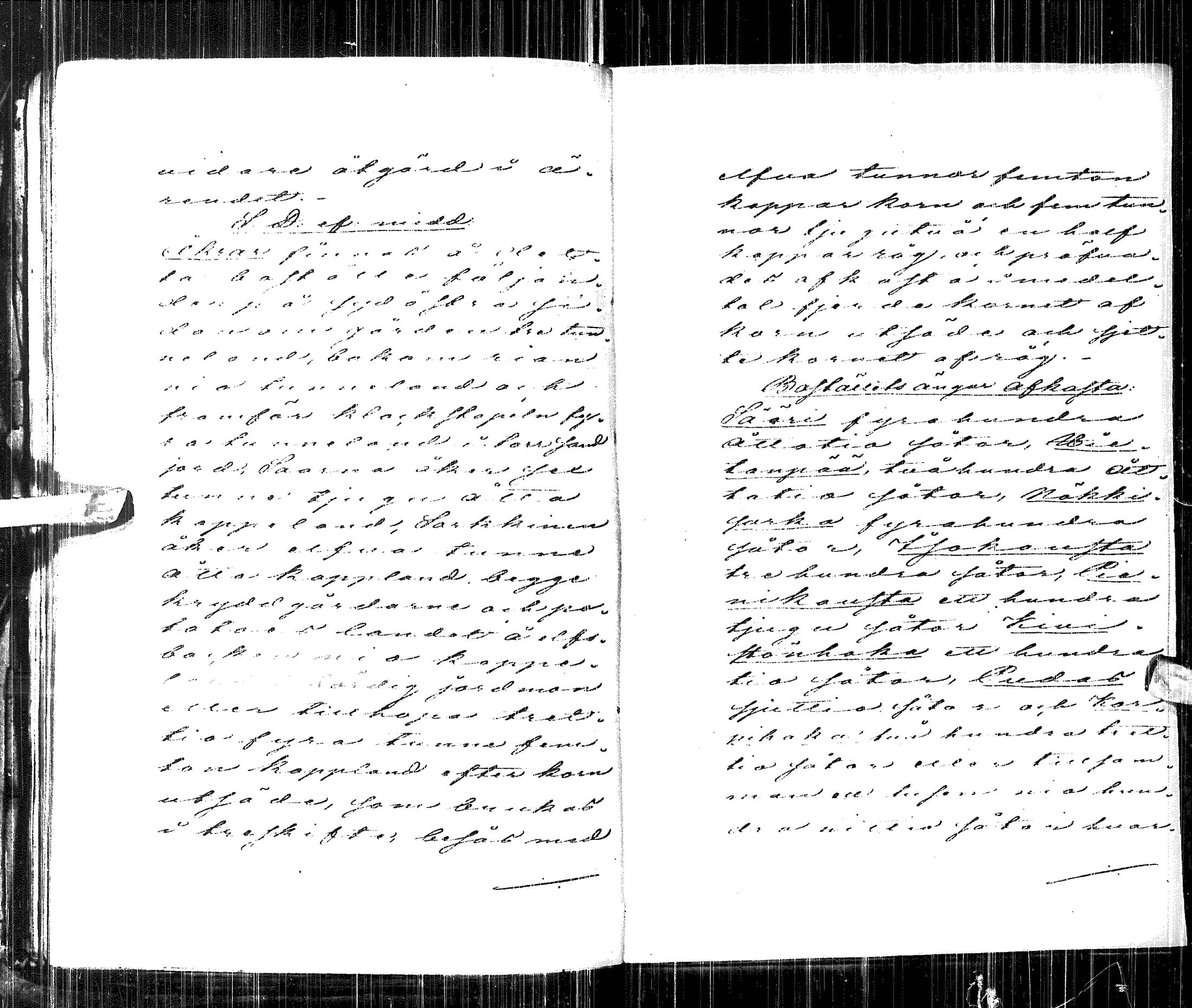 [ kuvat/217.jpg ]